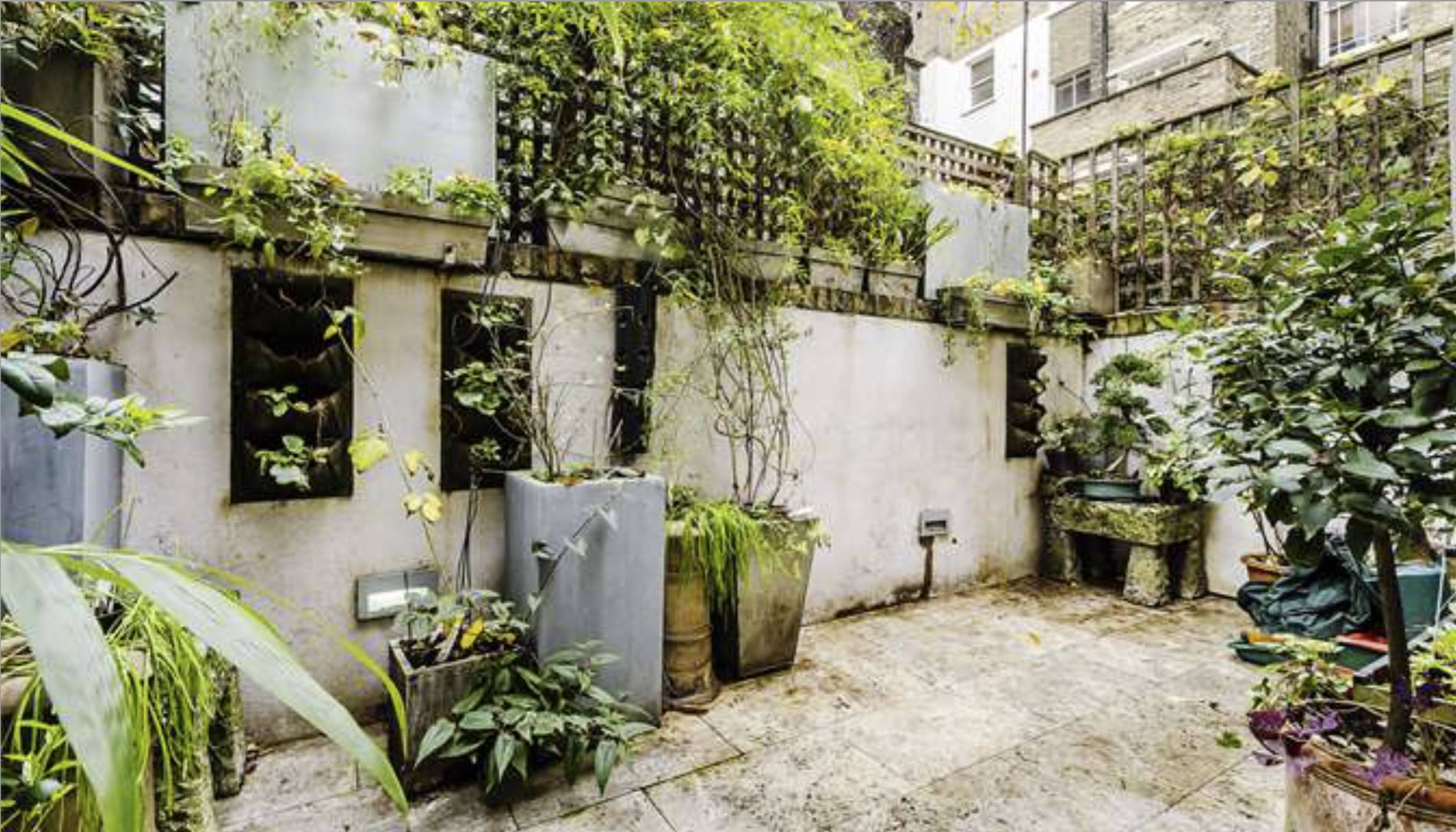 Mature Garden
