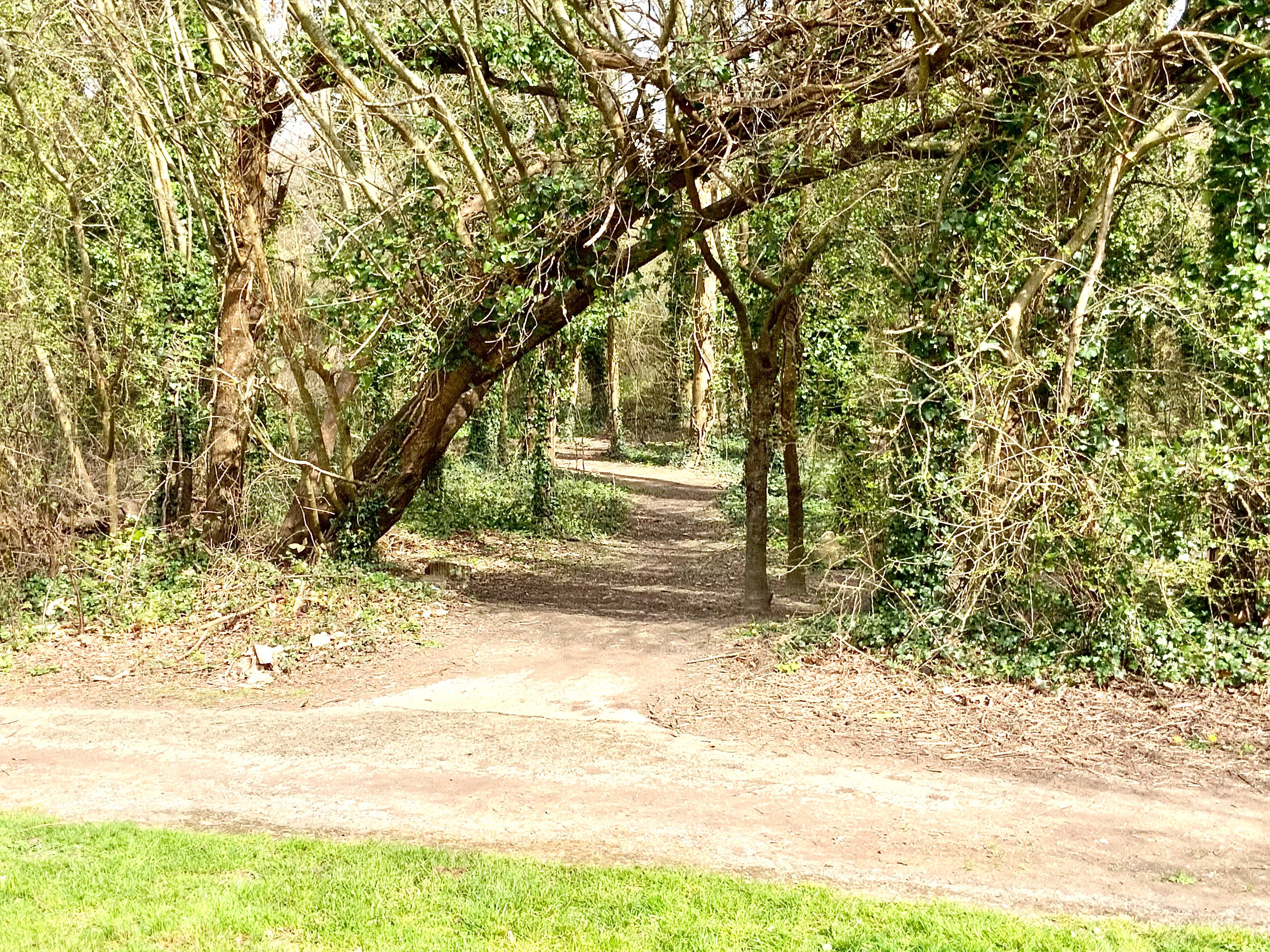 Surrounding Area
