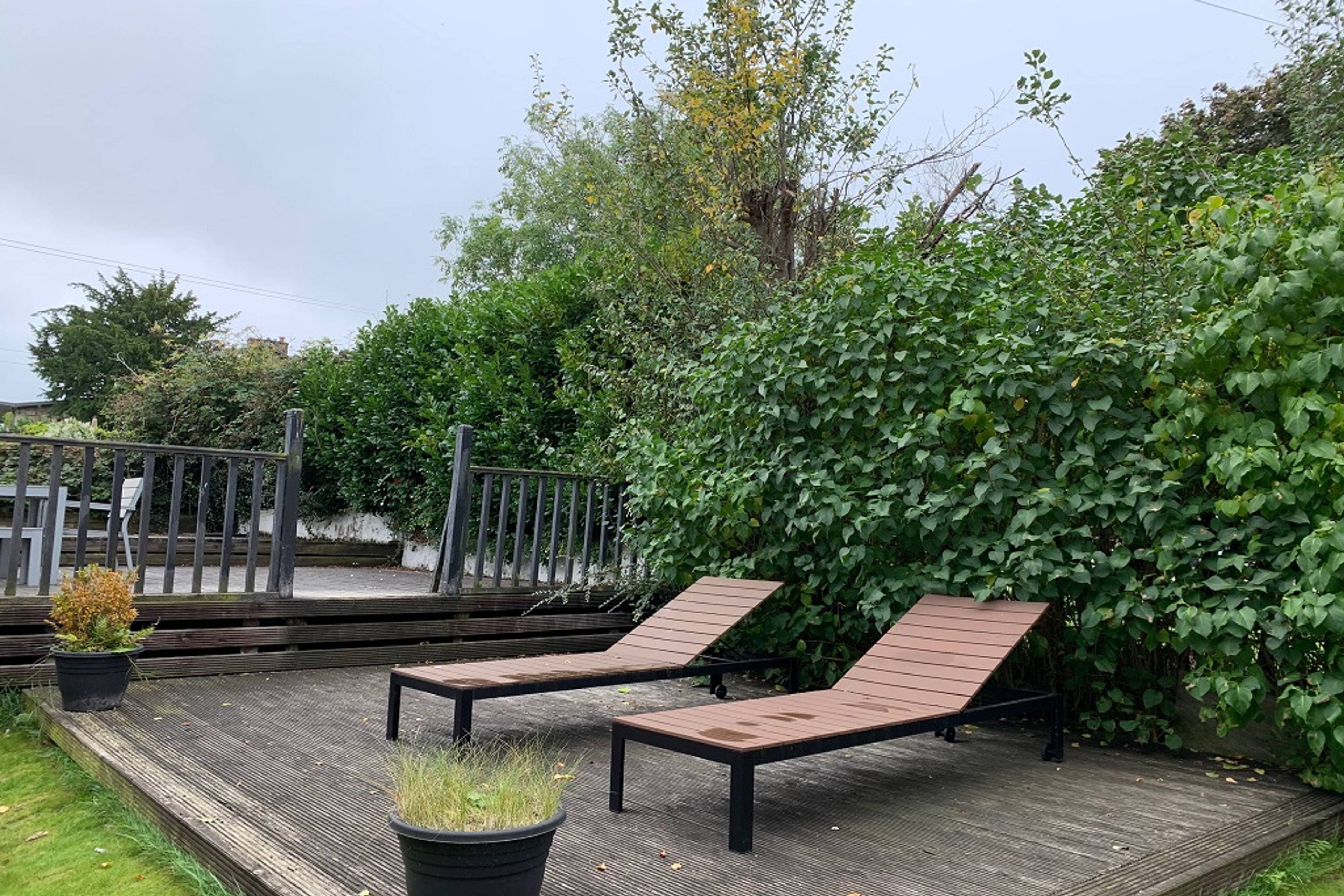 Side Garden