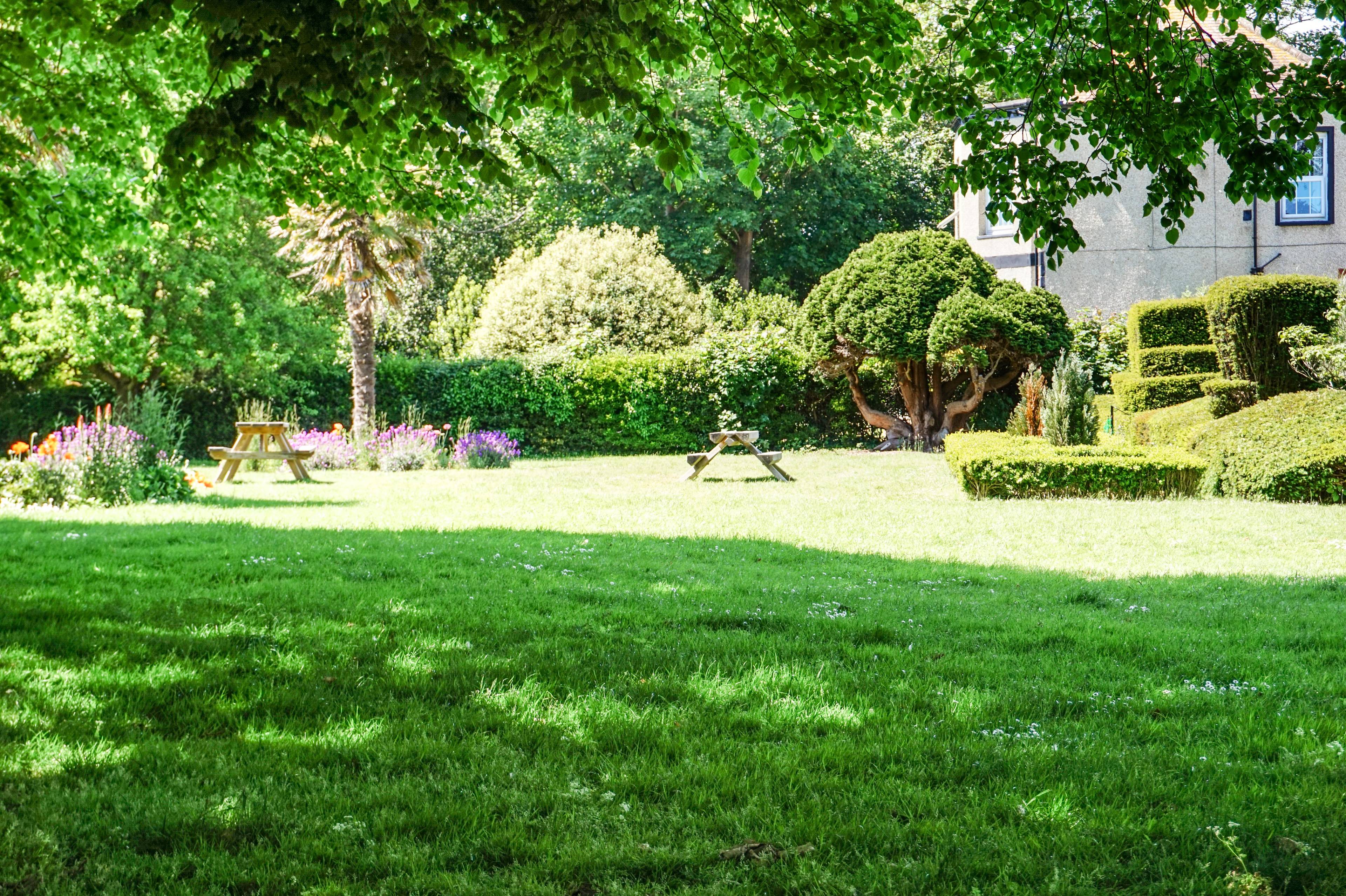 Nearby Park