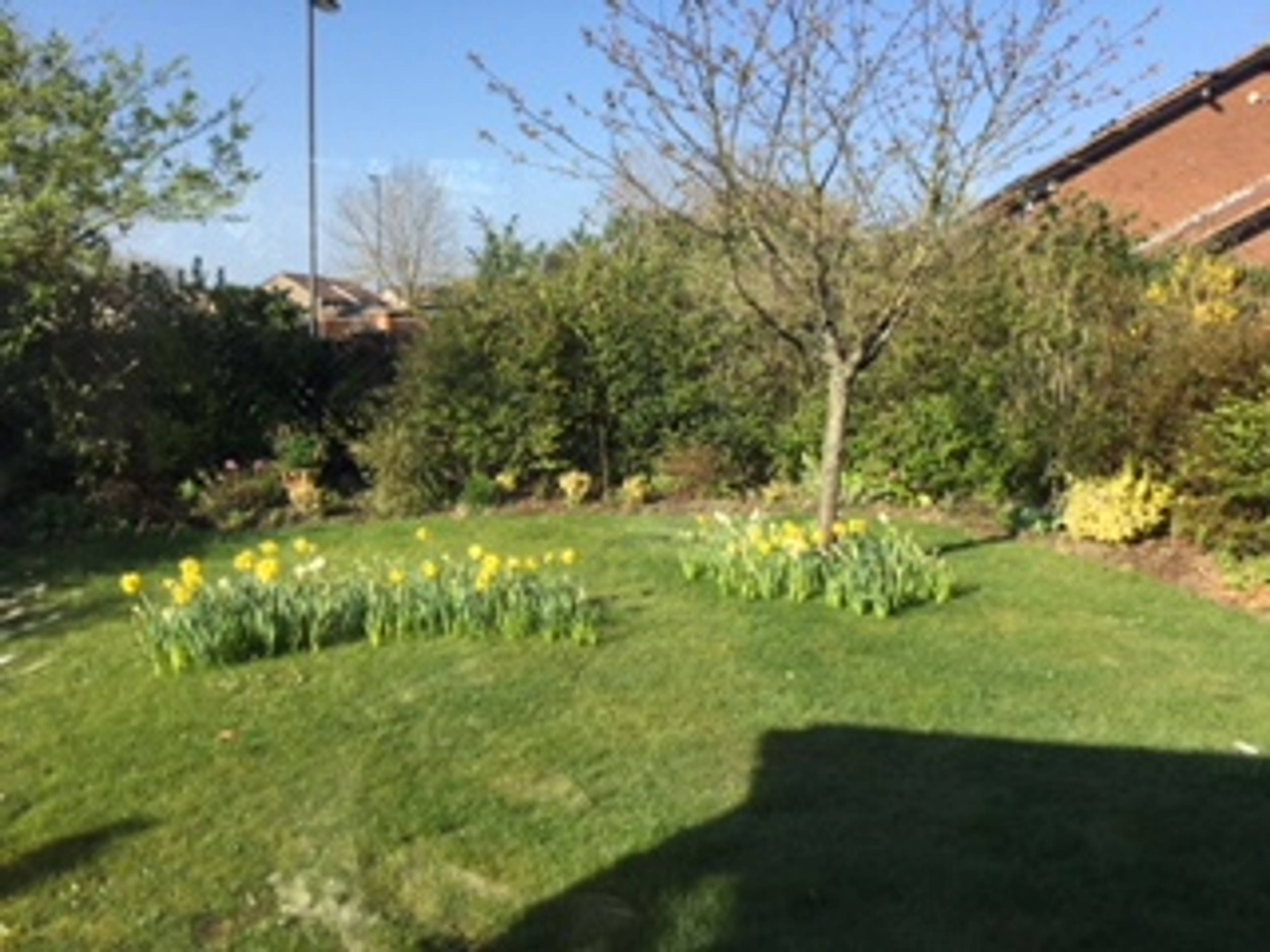 Front Garden