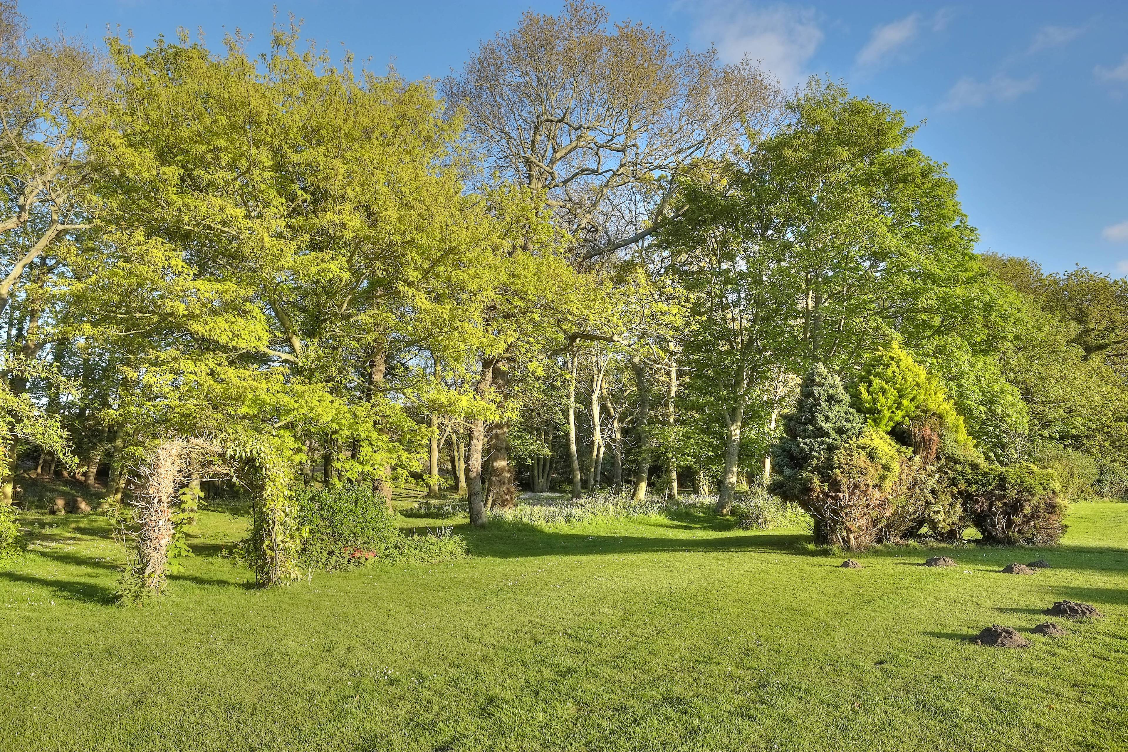 Grounds