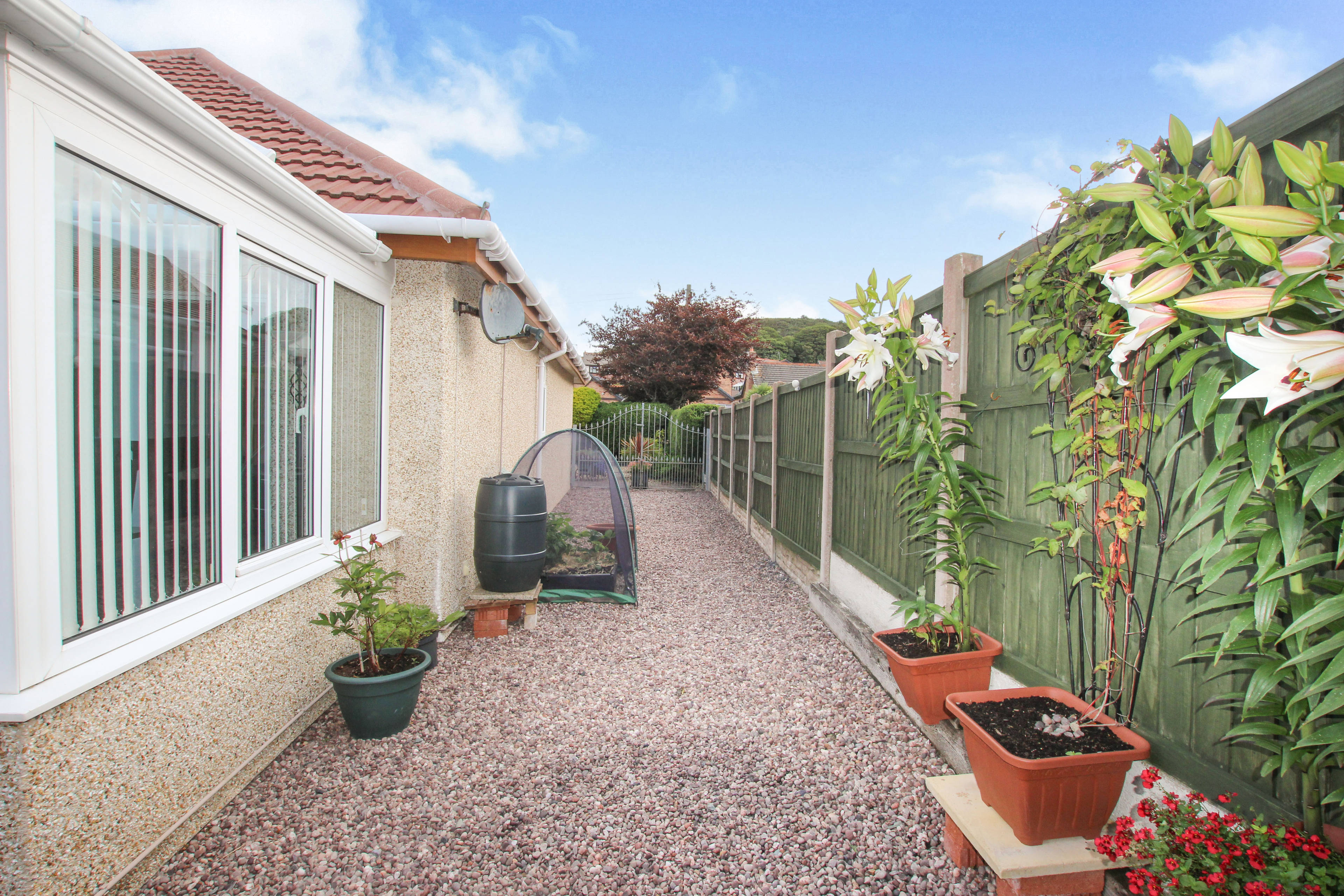 Side Garden