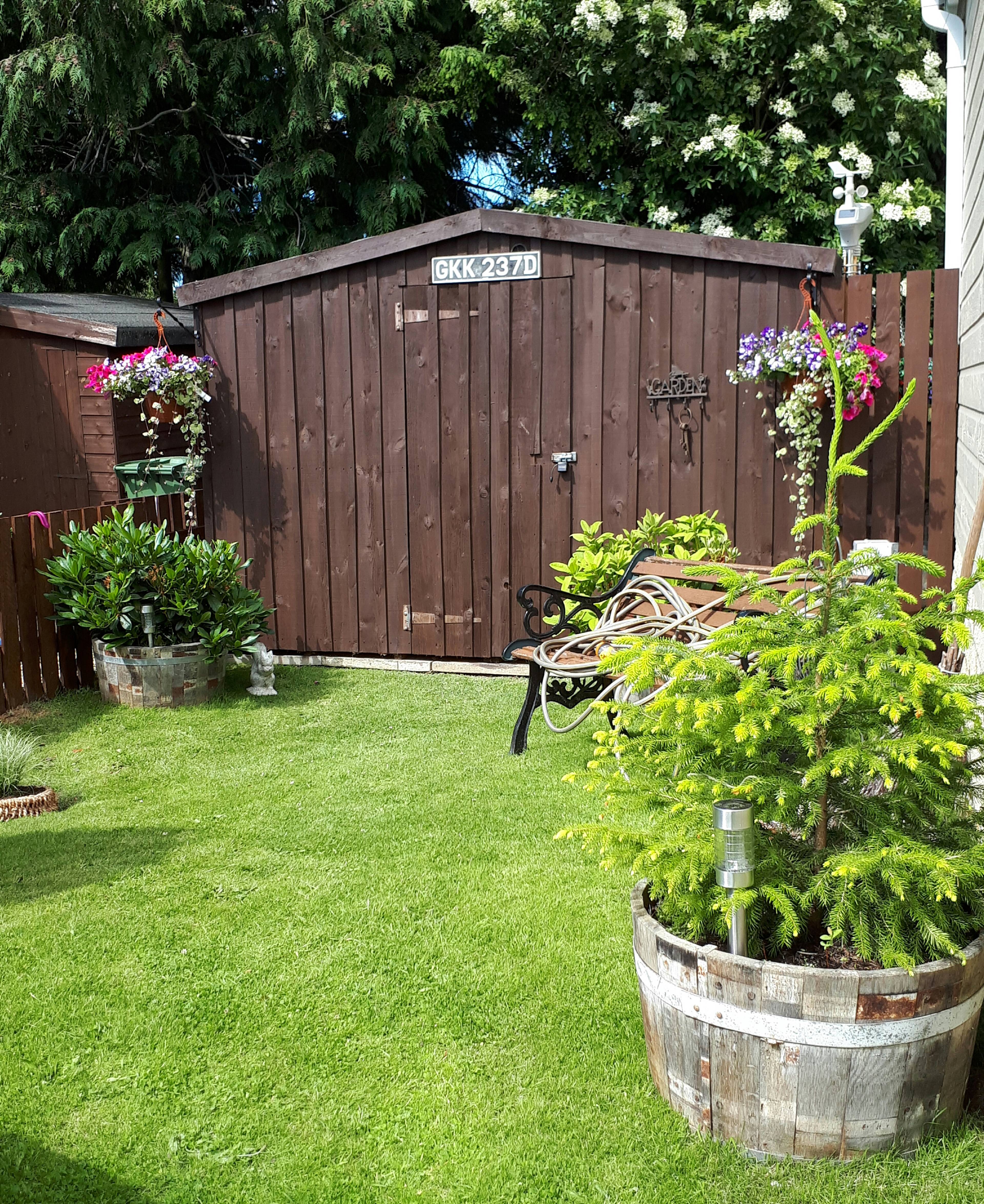 Shed