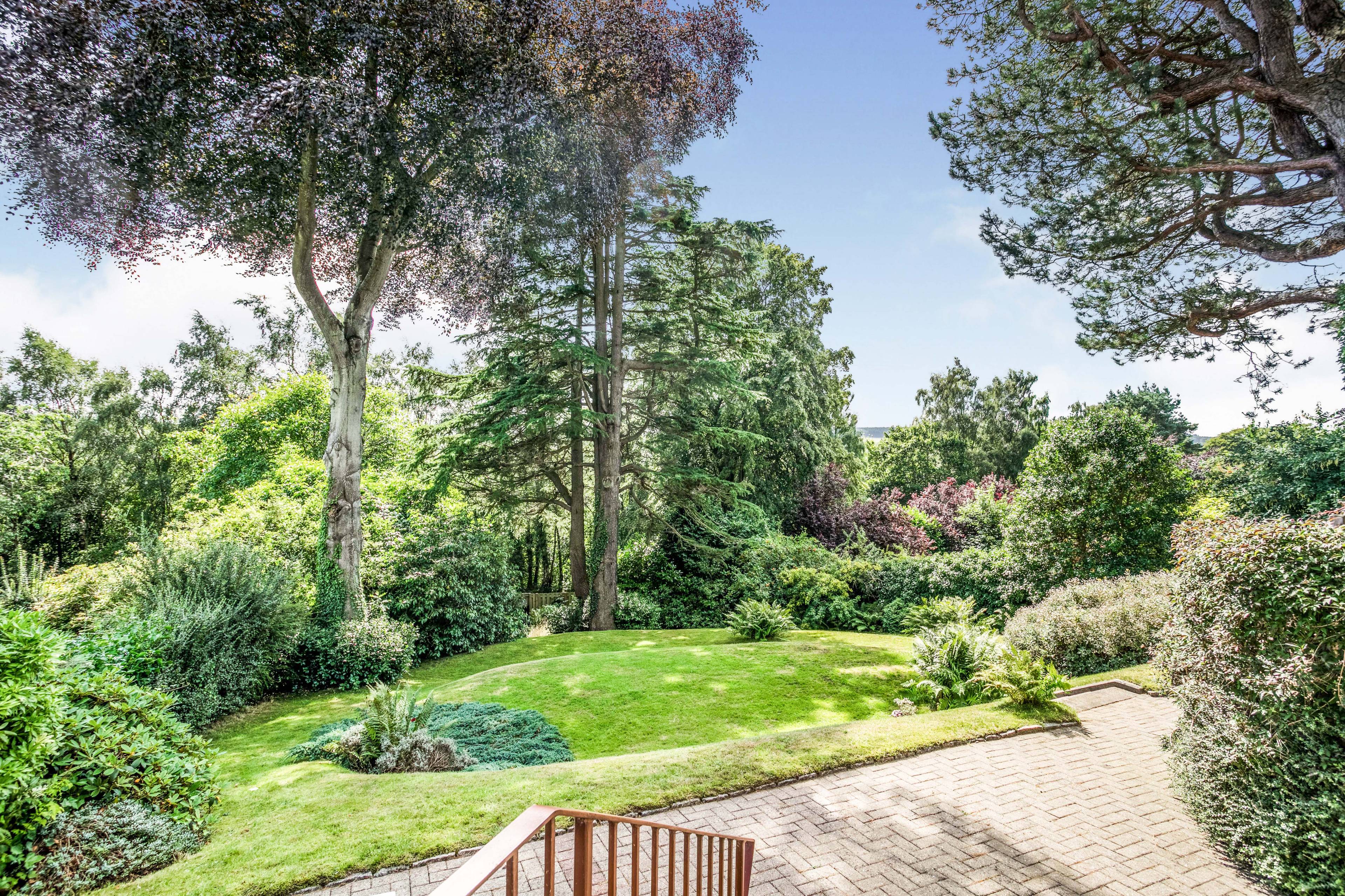 garden