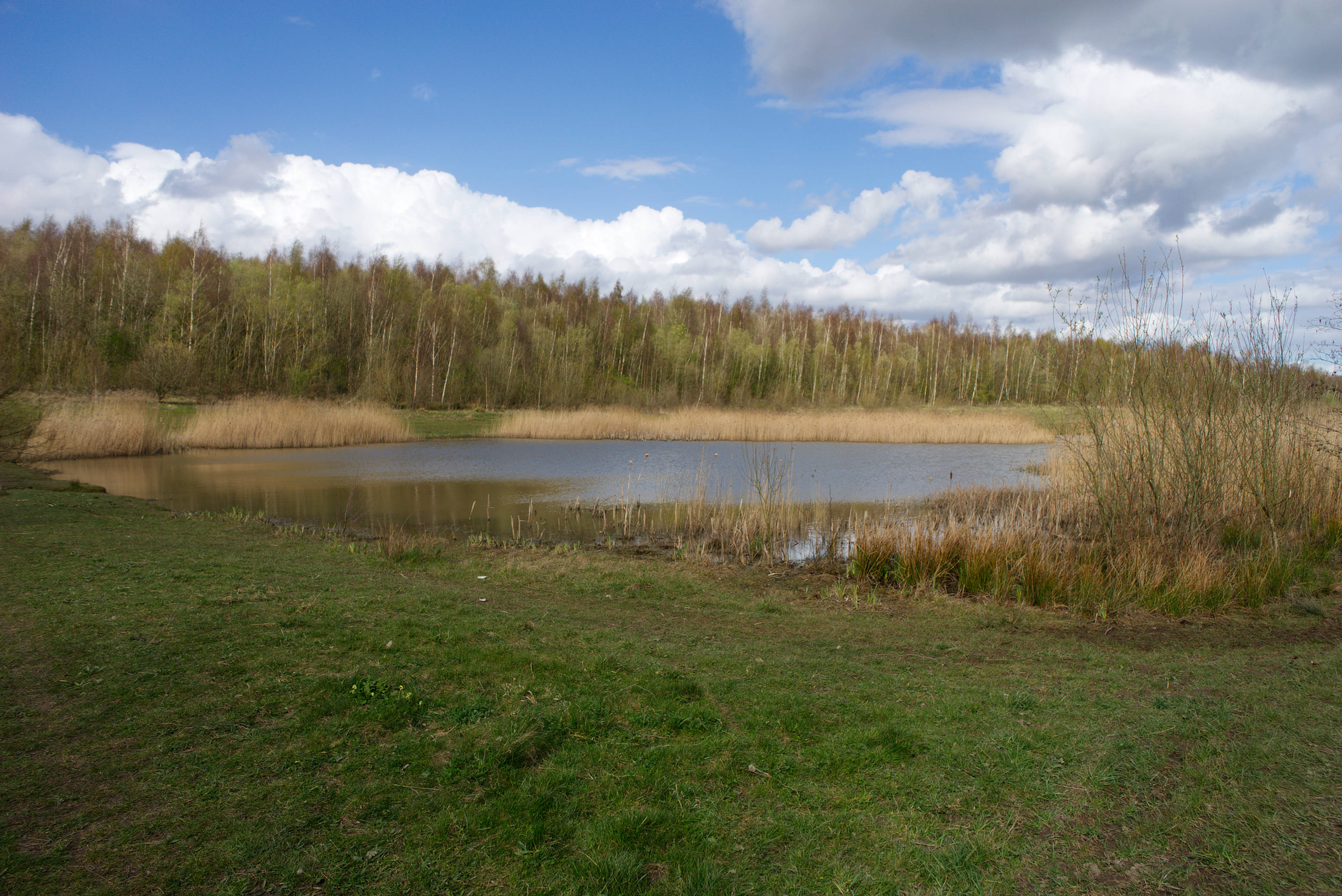 Surrounding Area