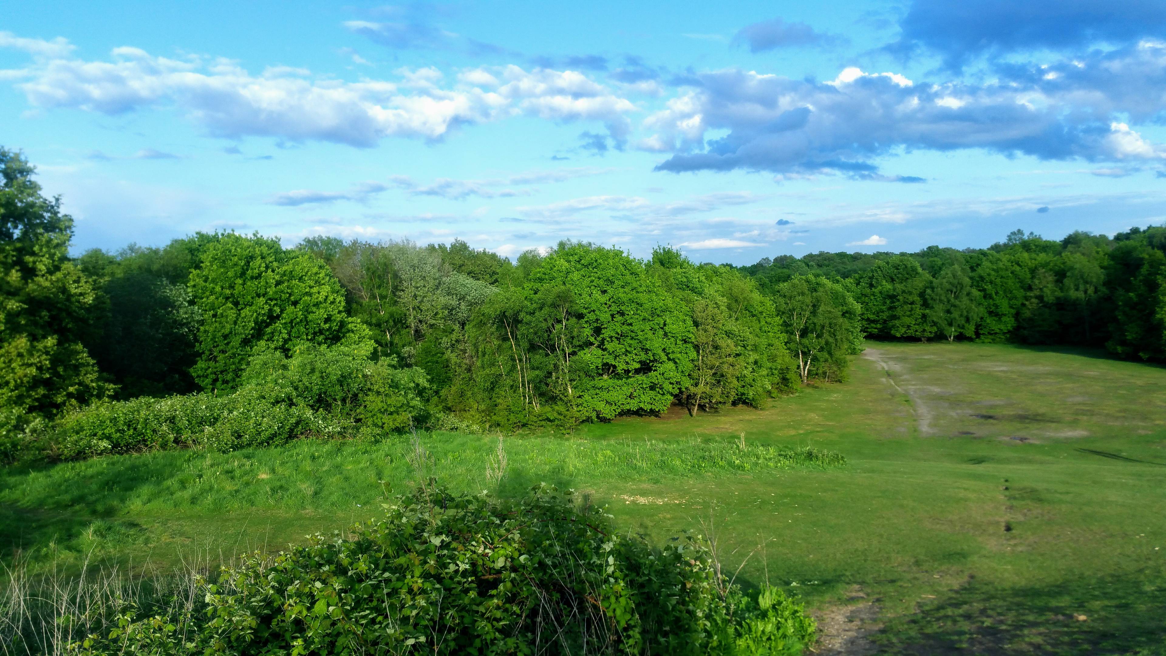 Surrounding Area