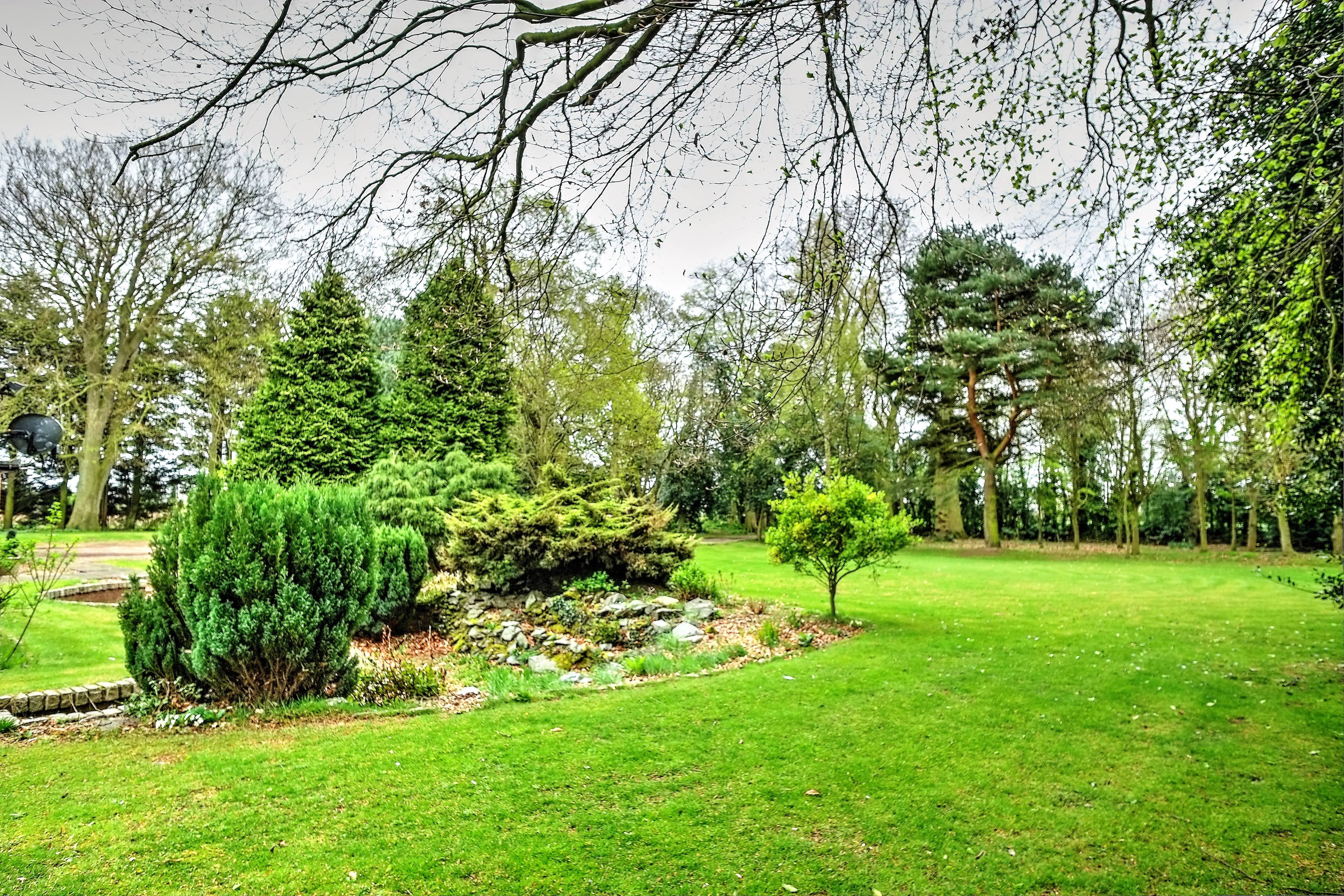 Grounds