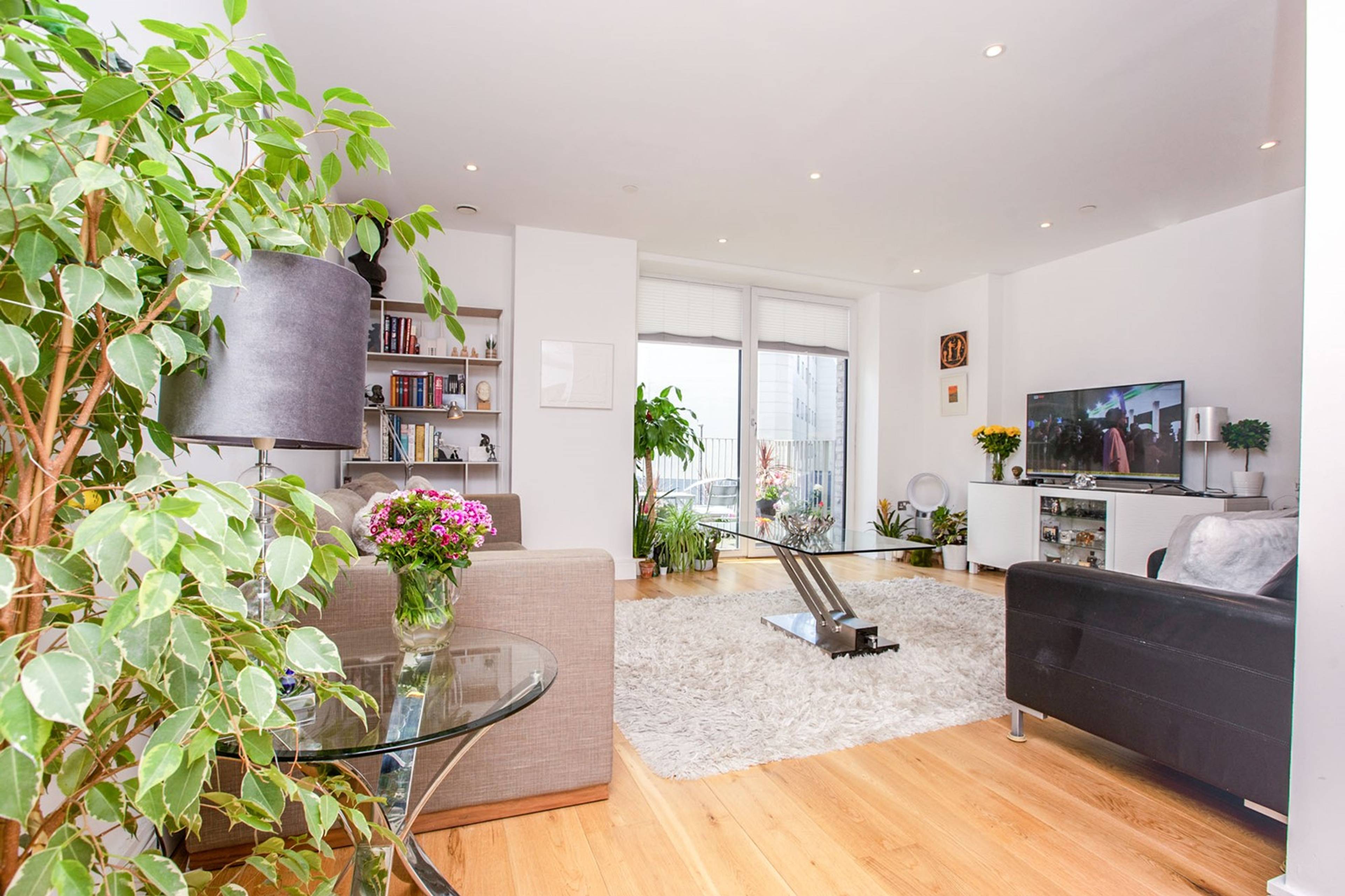 Lounge / Kitchen