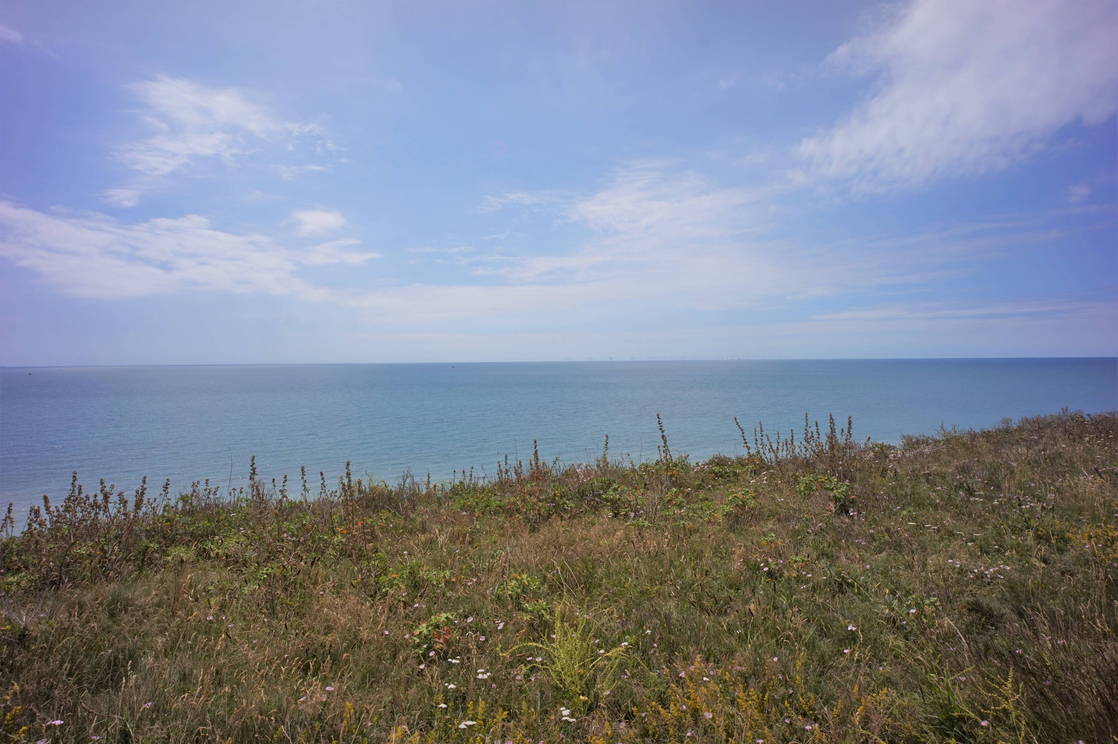 Local Area