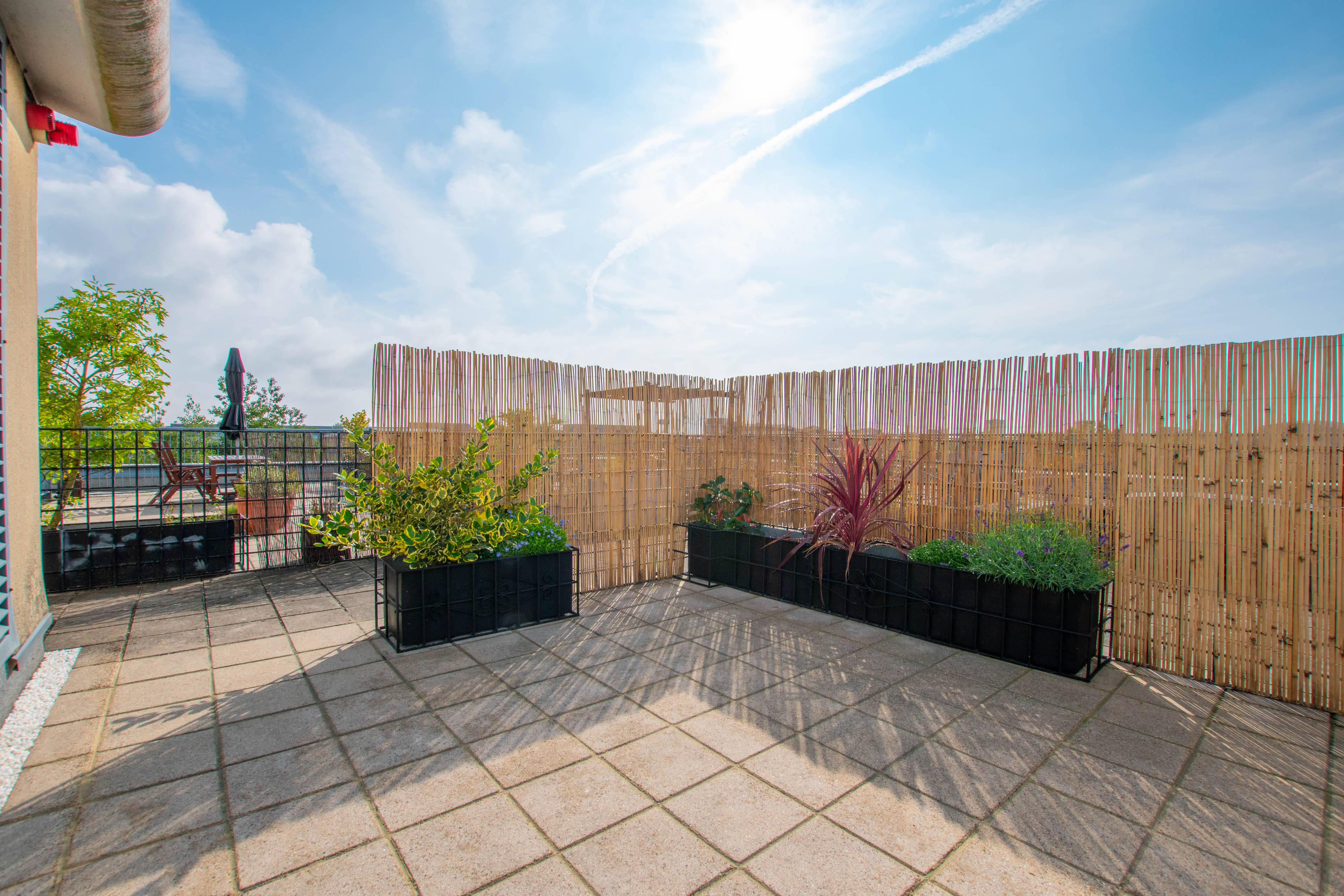 Roof Top Terrace