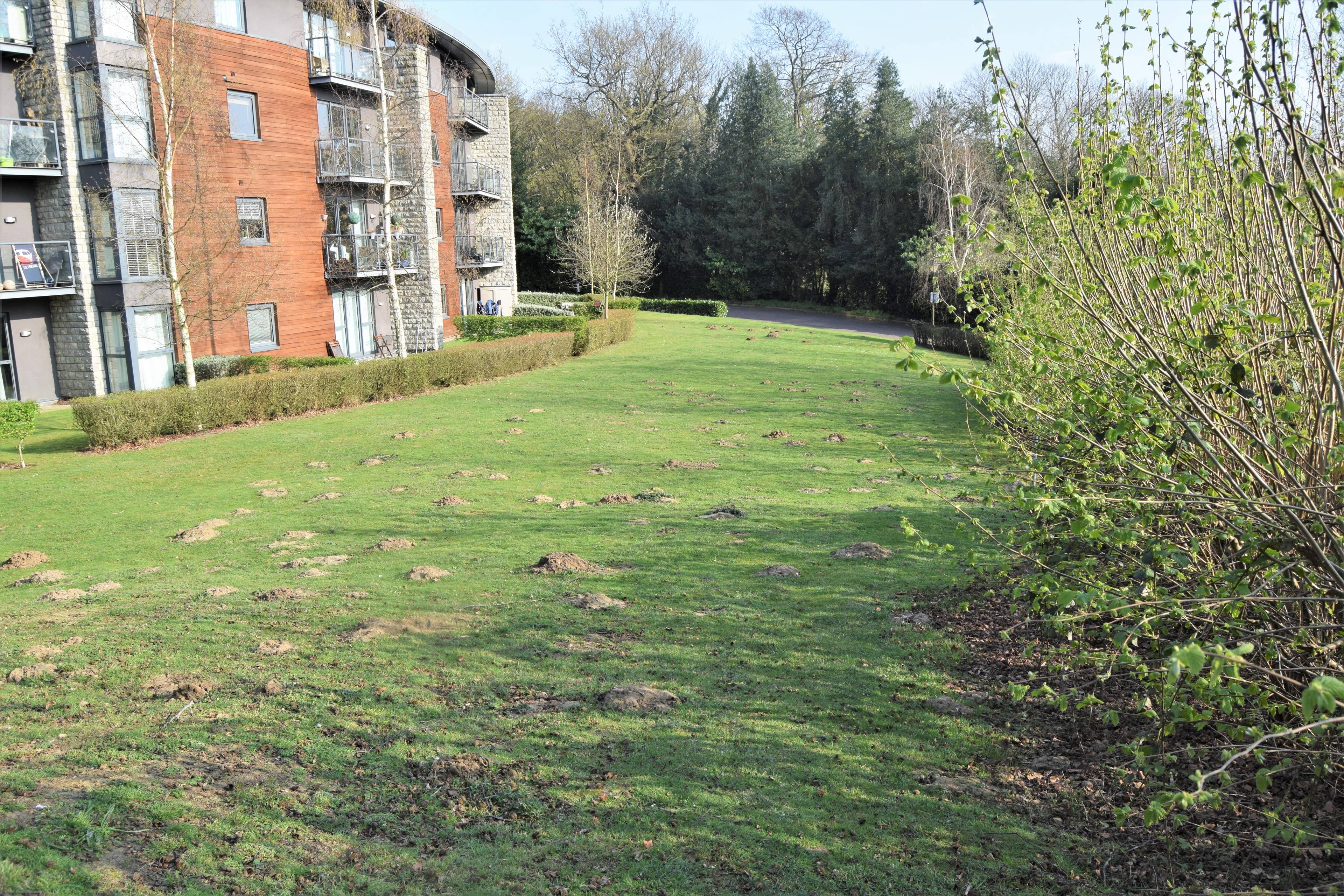 Grounds