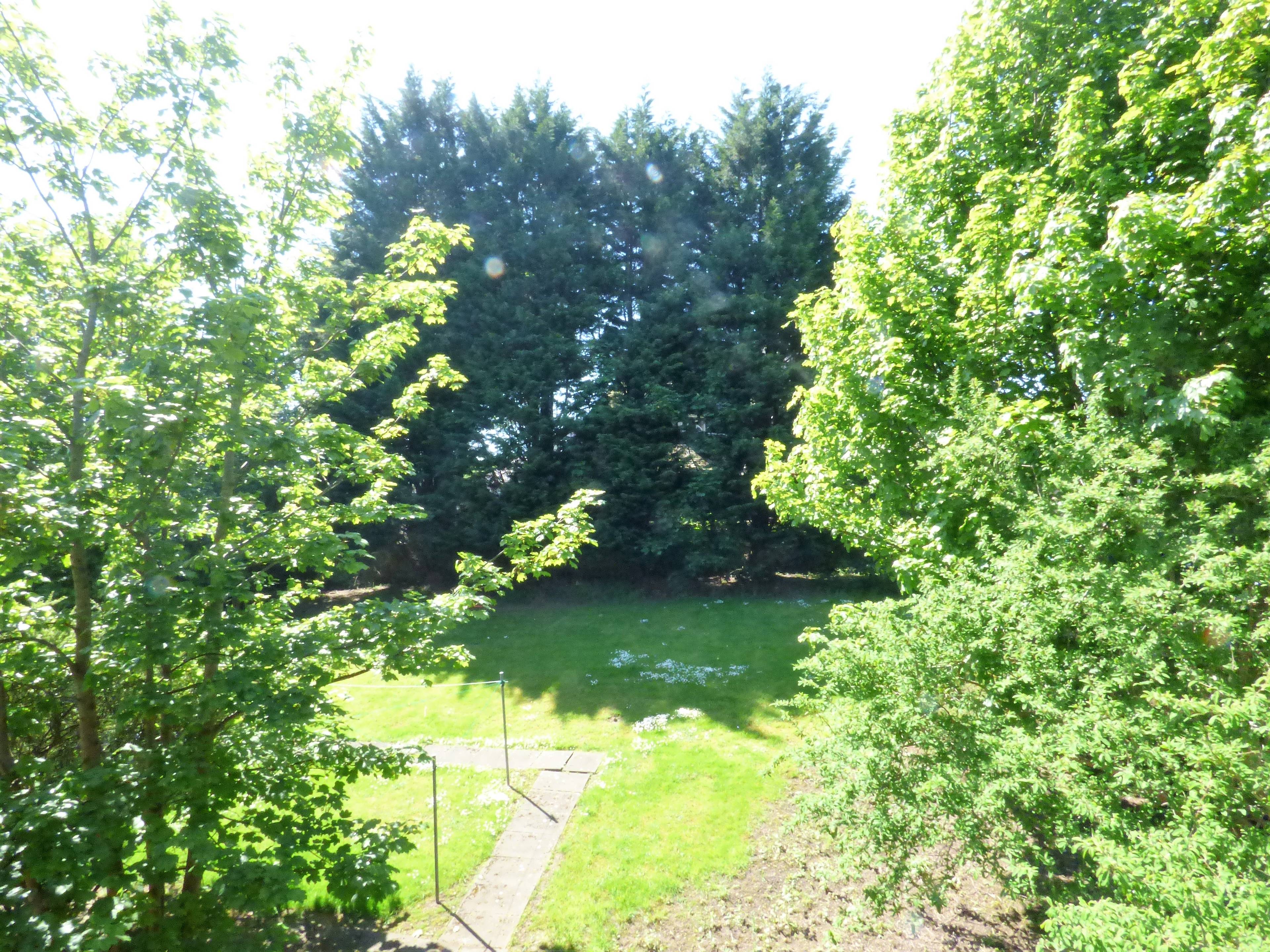 Communal Gardens