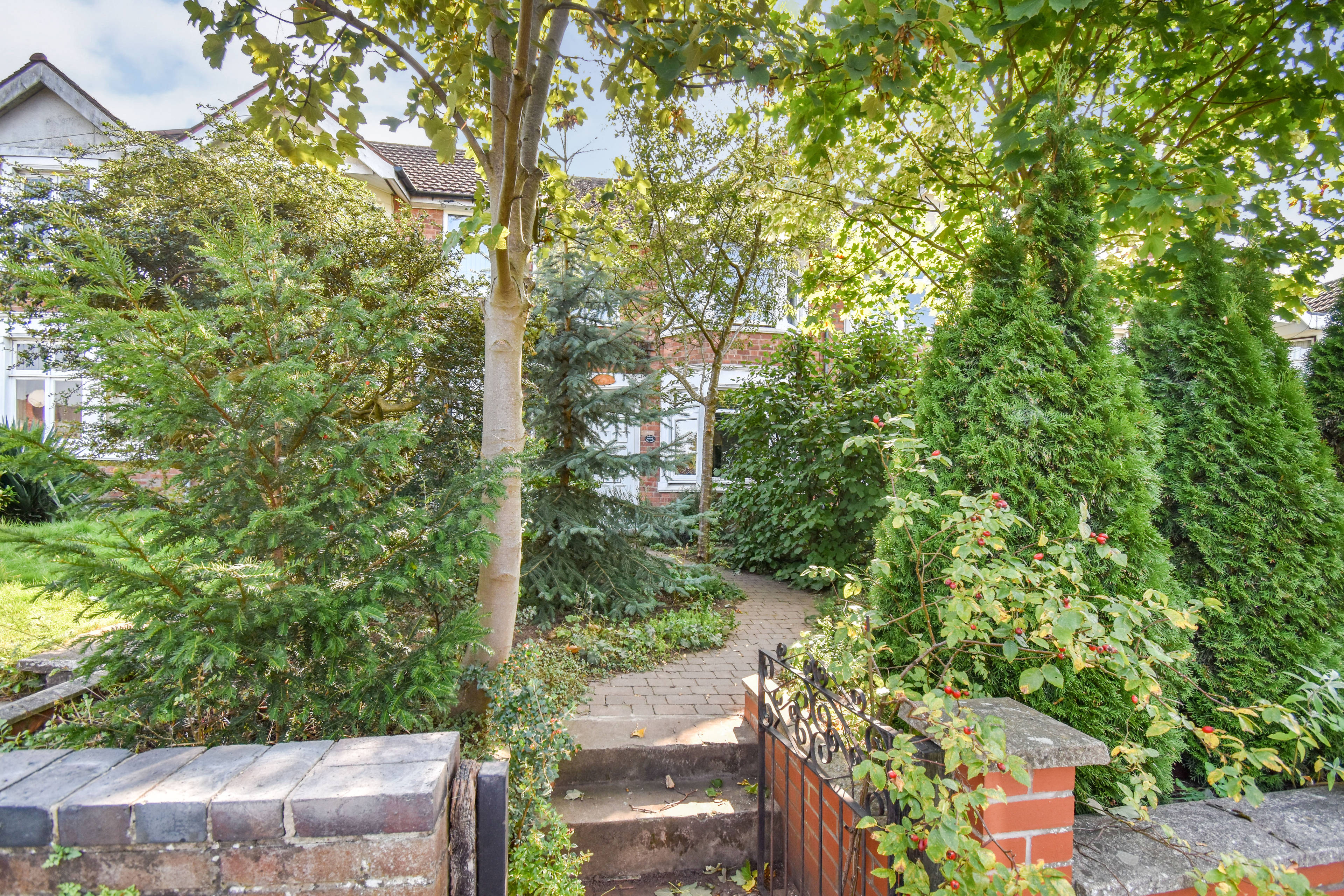 Front Garden