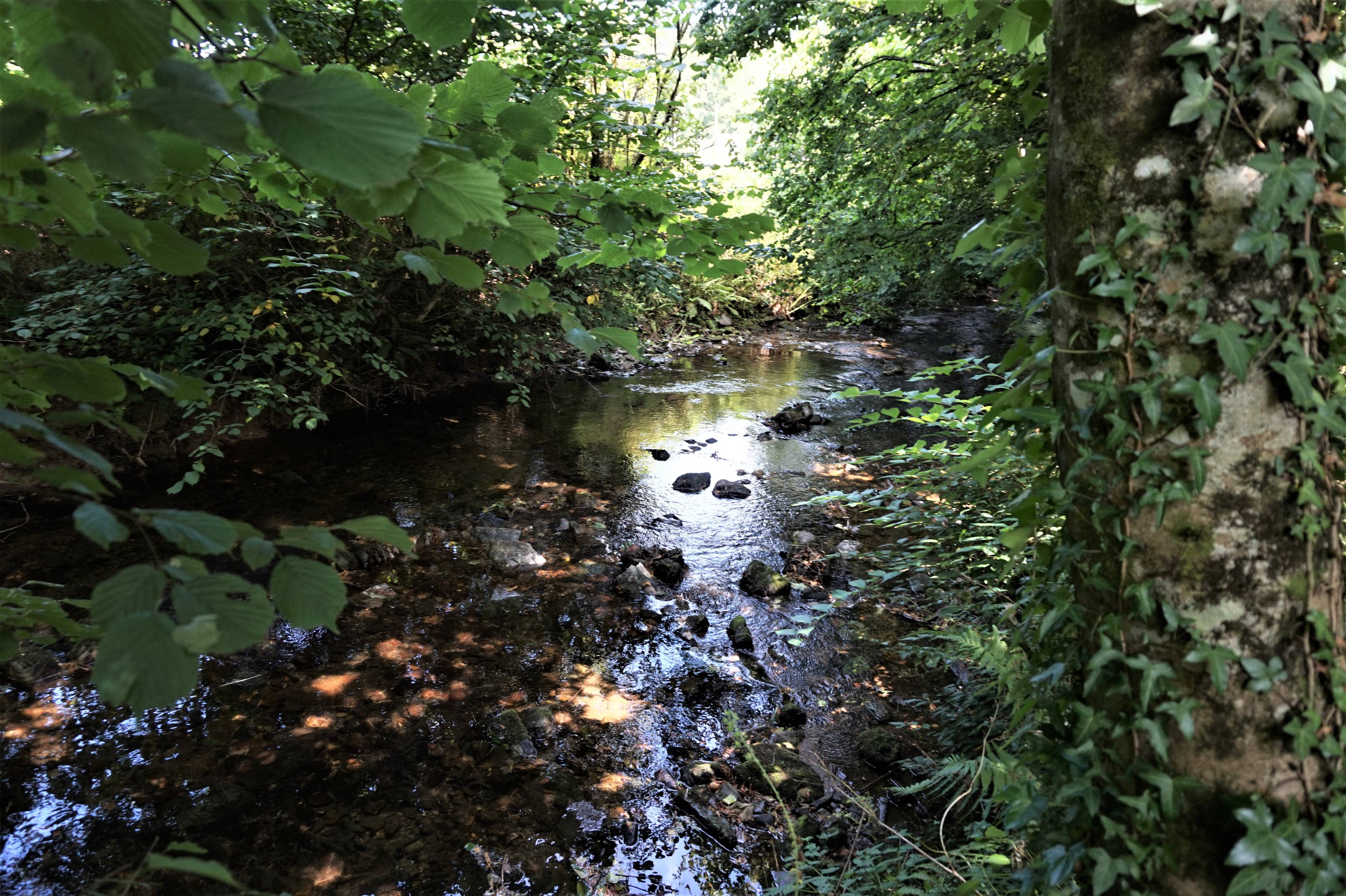 Nearby River