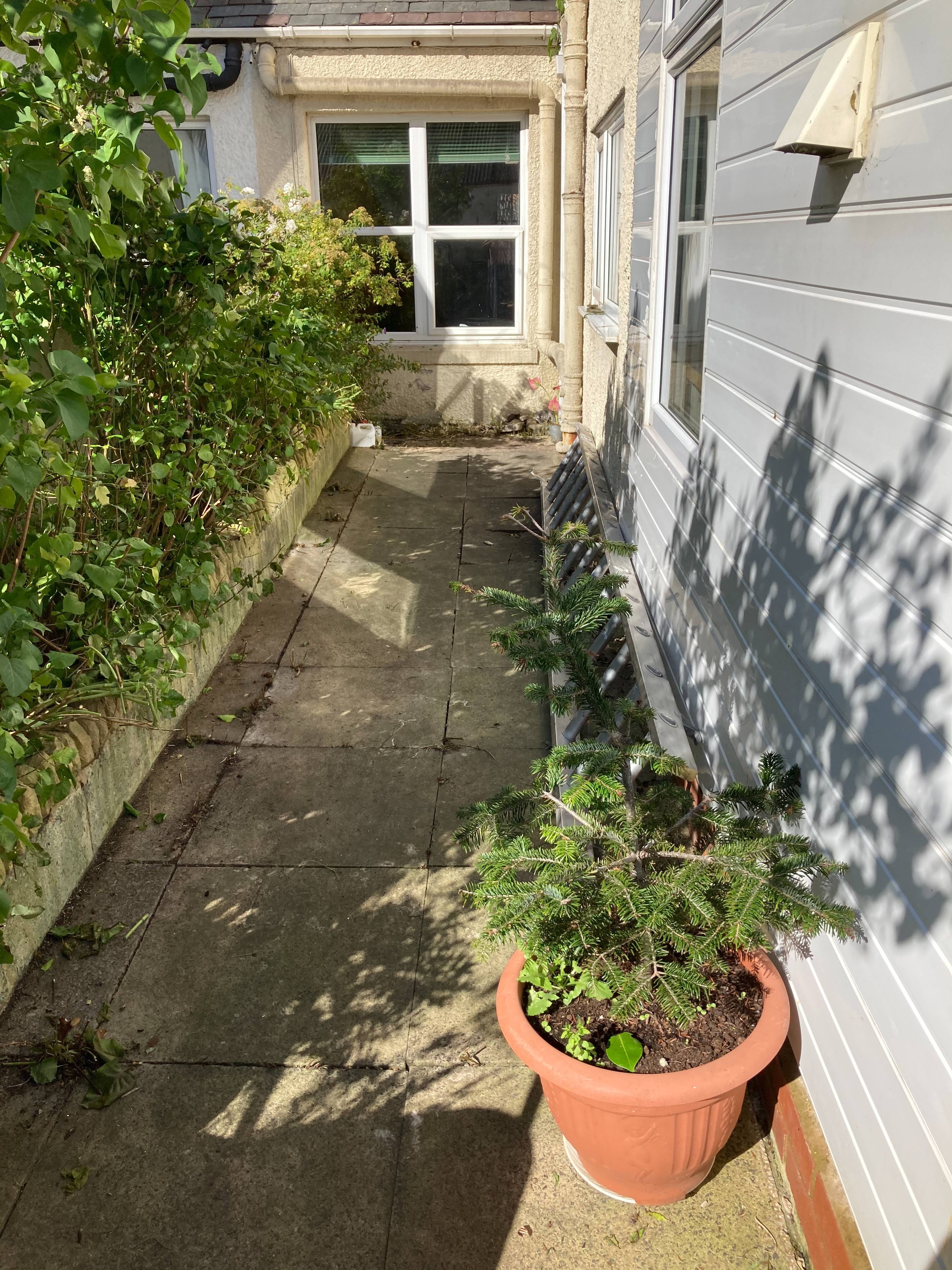 Side Garden