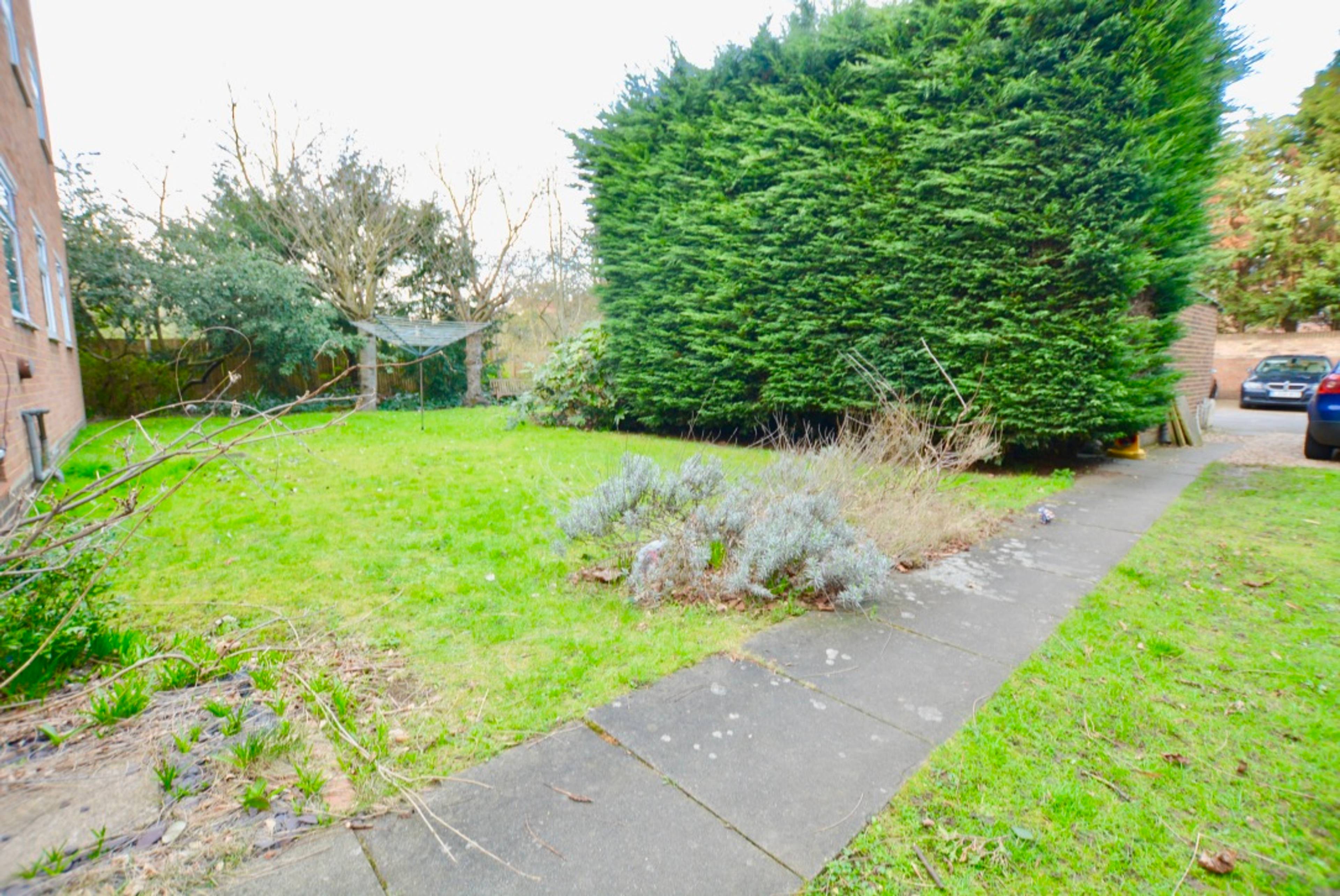 Communal Gardens