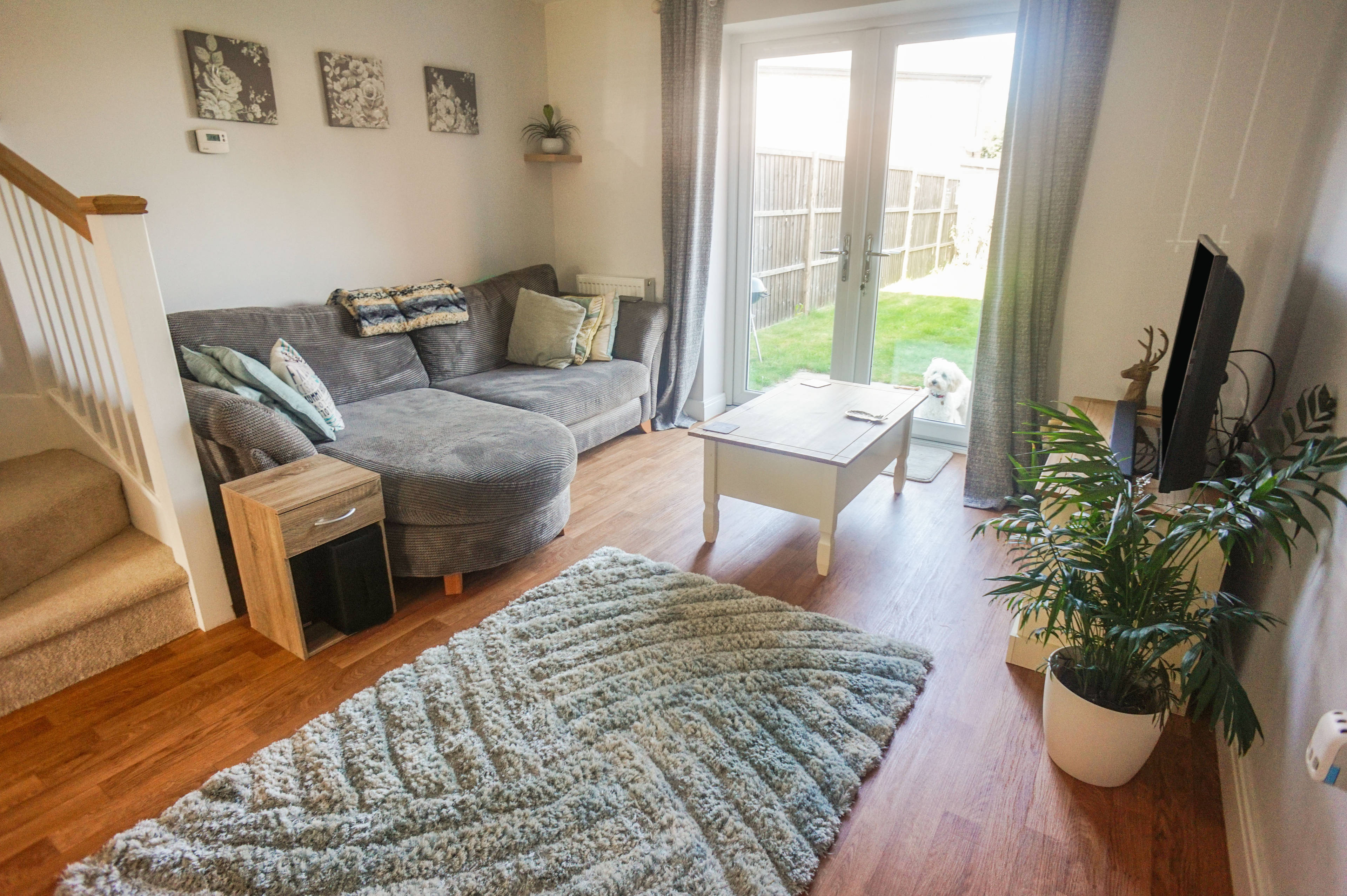 Living / Dining Room