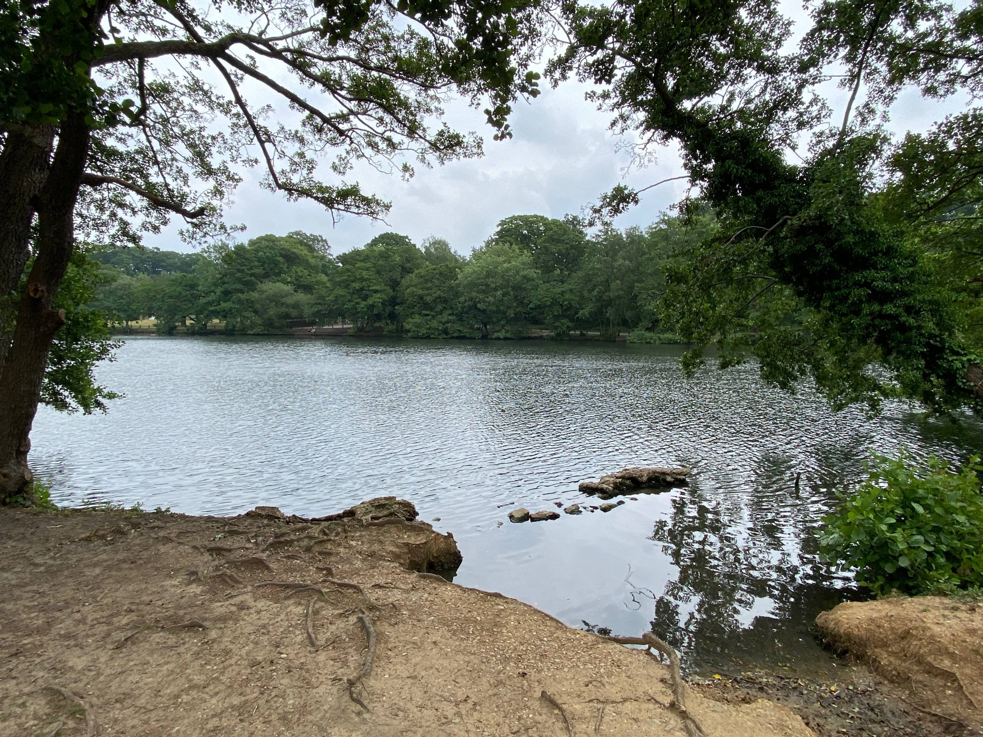 Local Area