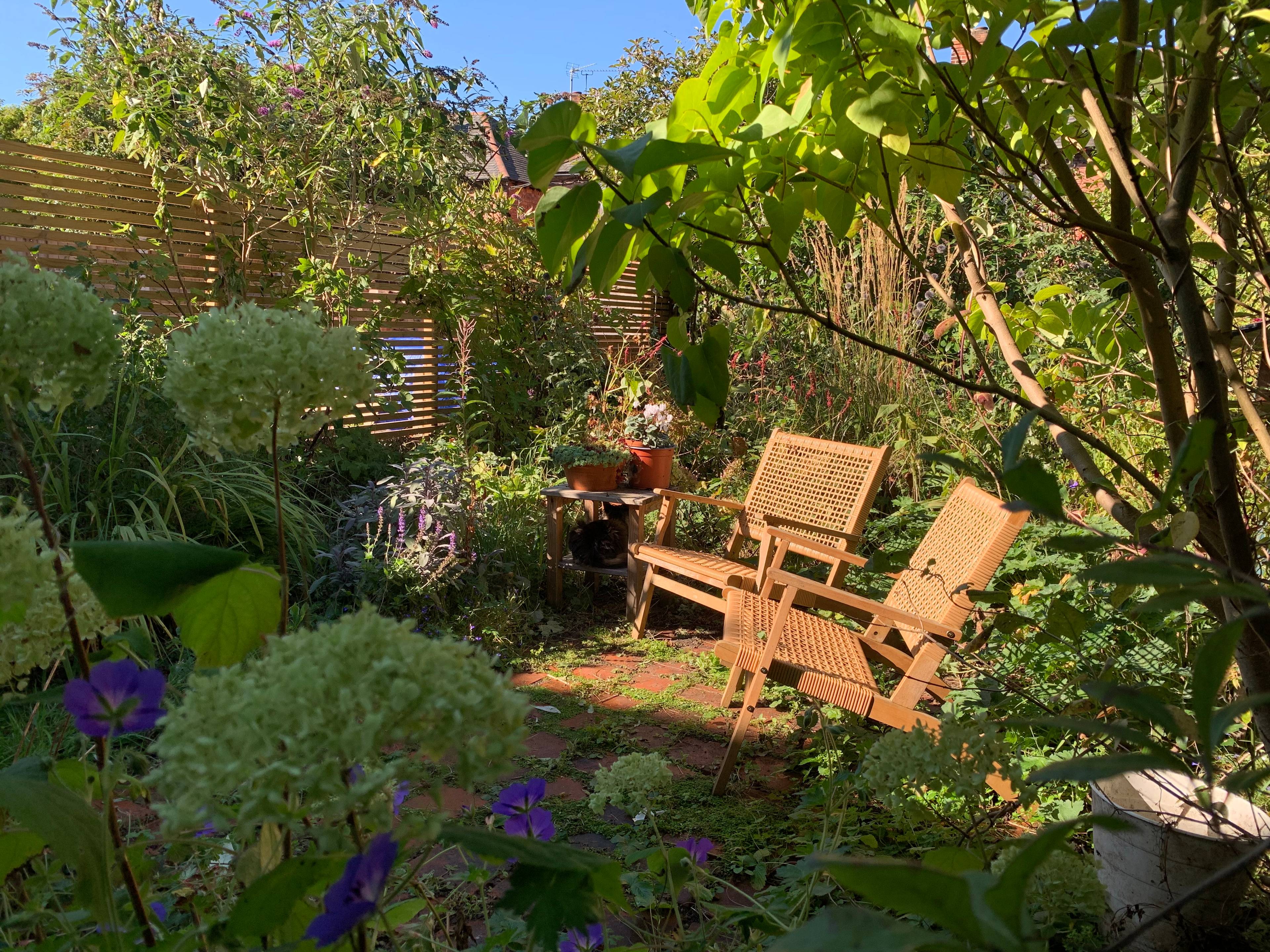 Garden