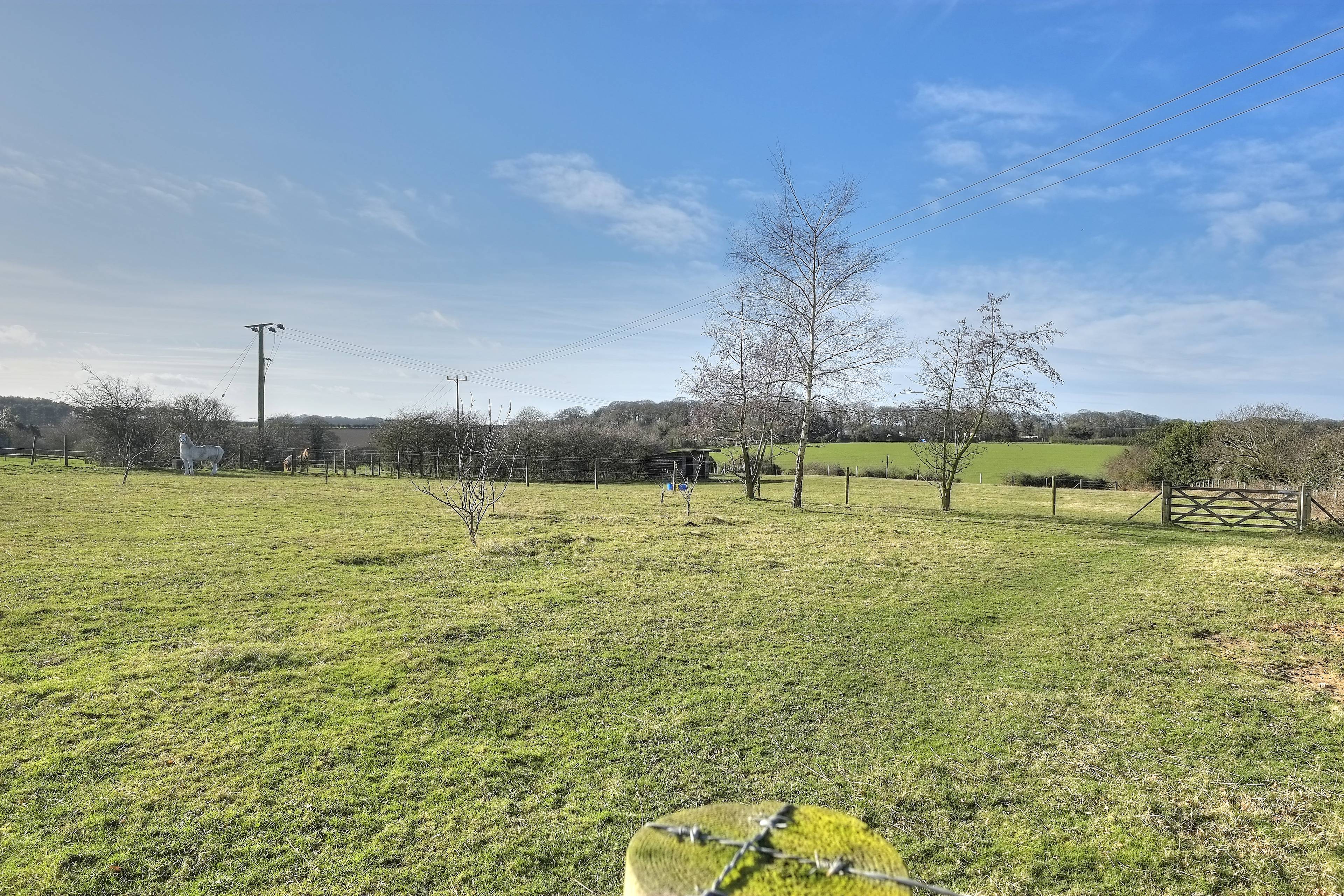 Field