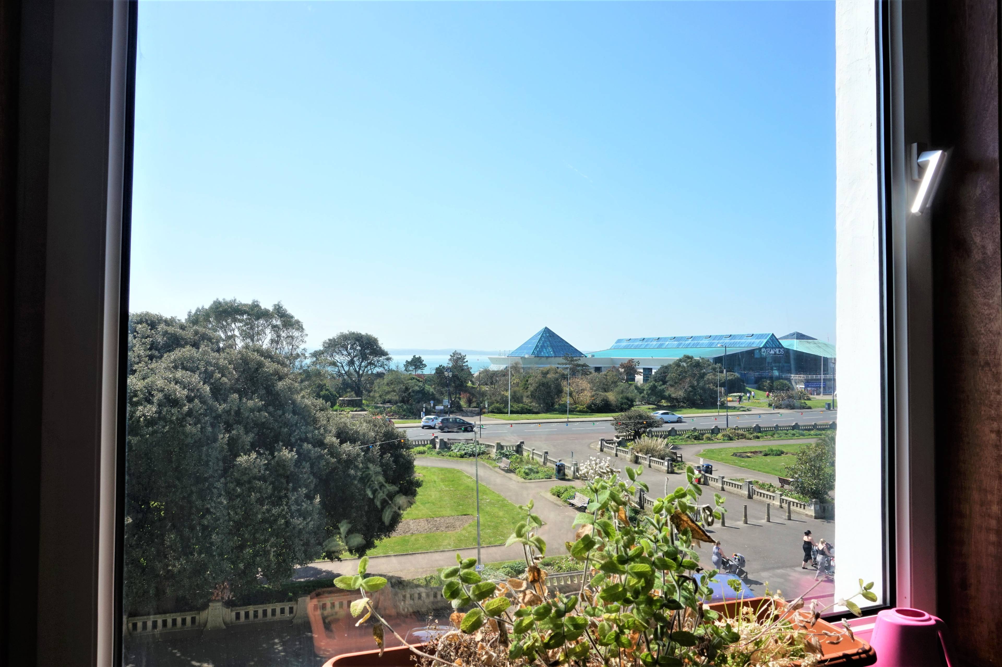 View