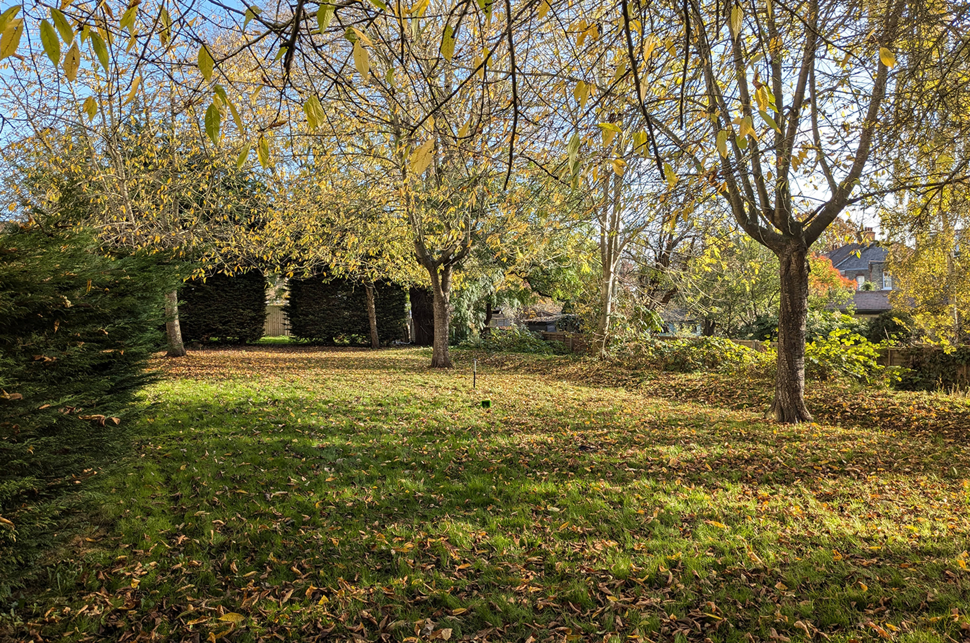 Communal Gardens