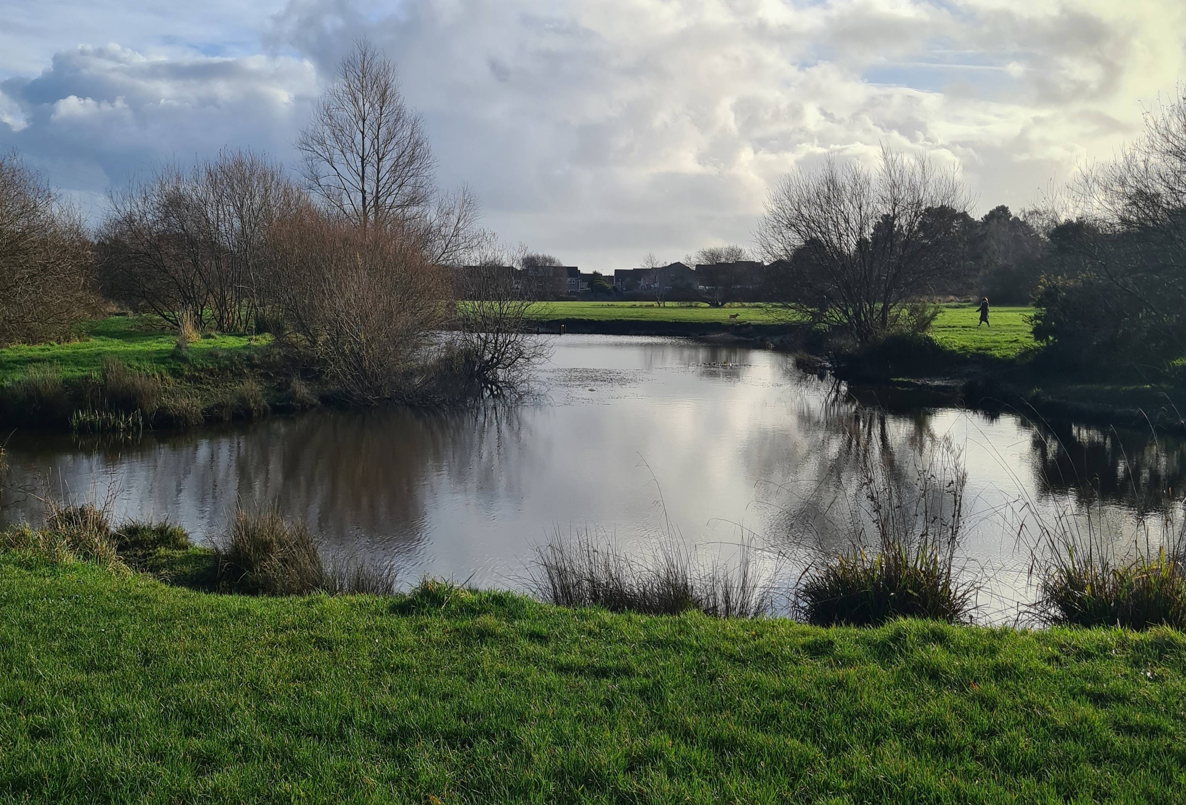 Nearby Park