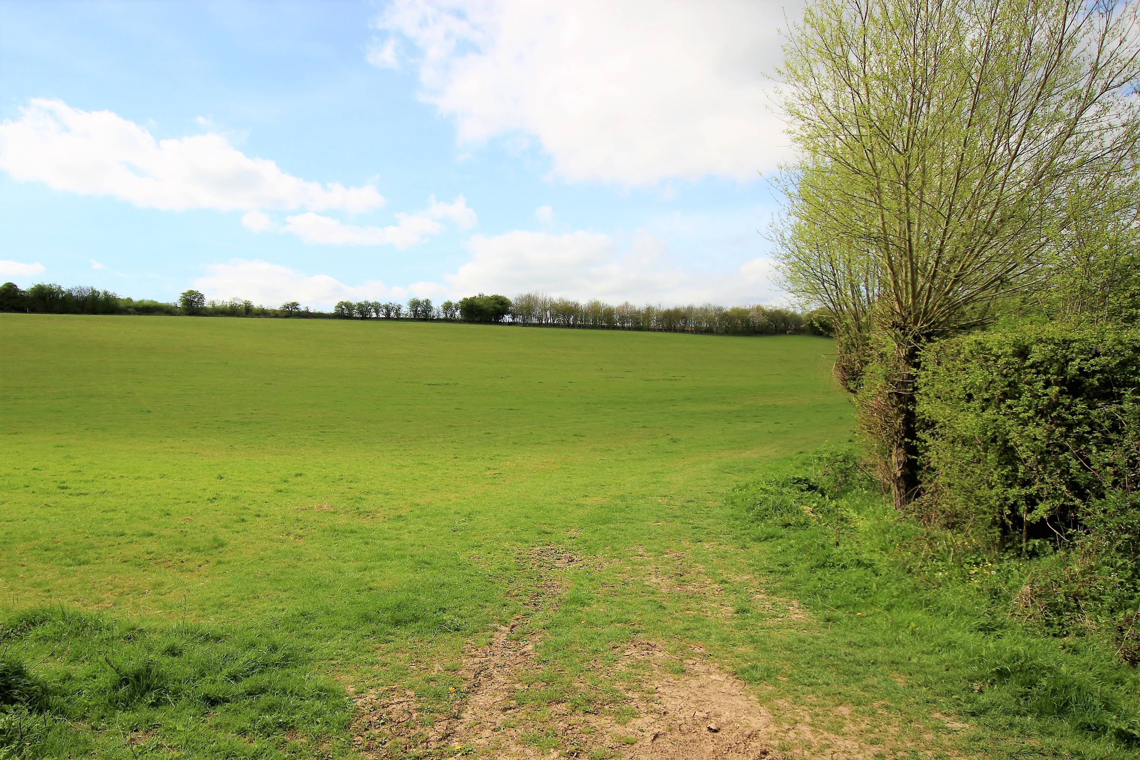 Surrounding Area