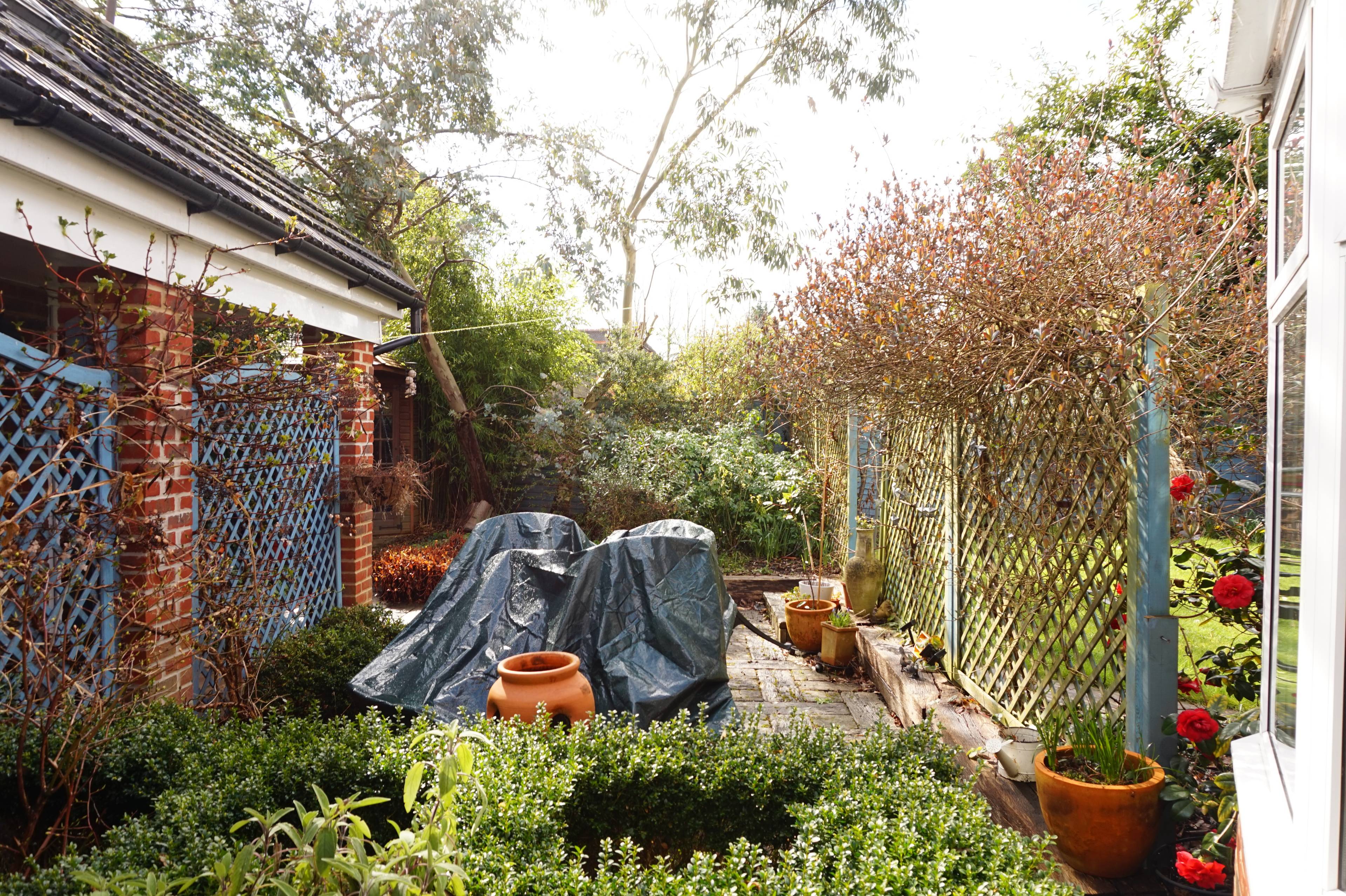 garden