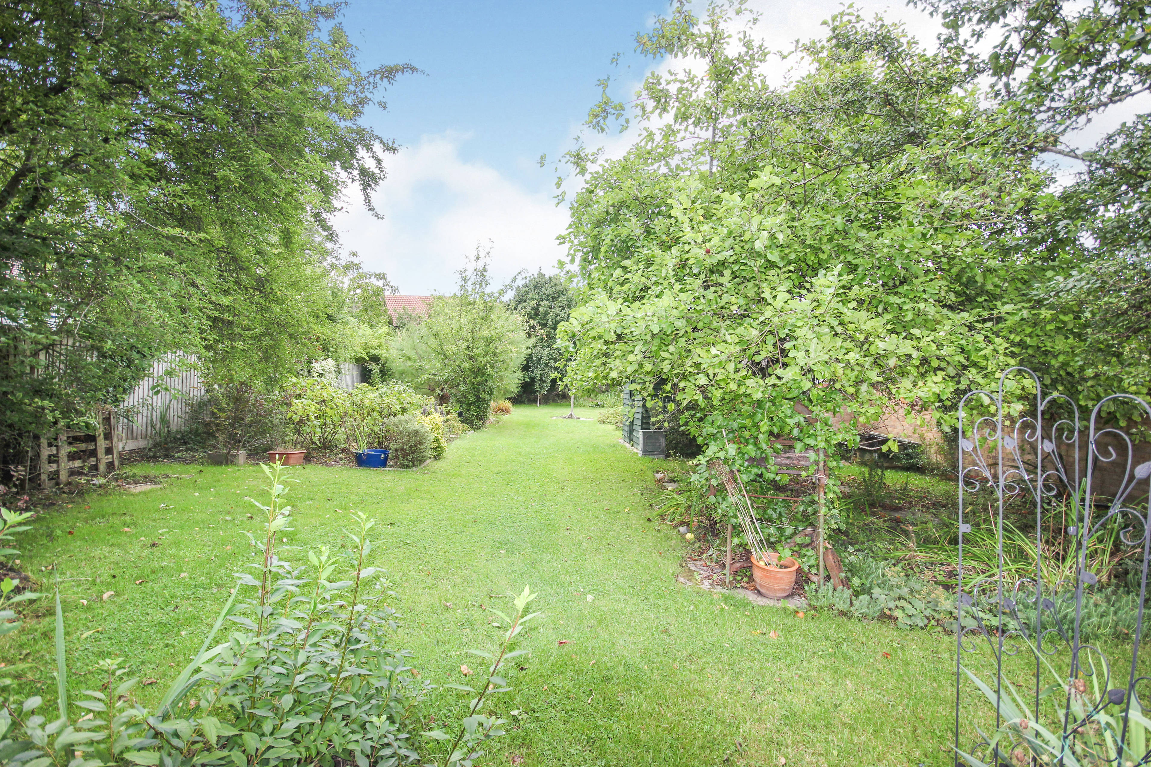Mature Garden