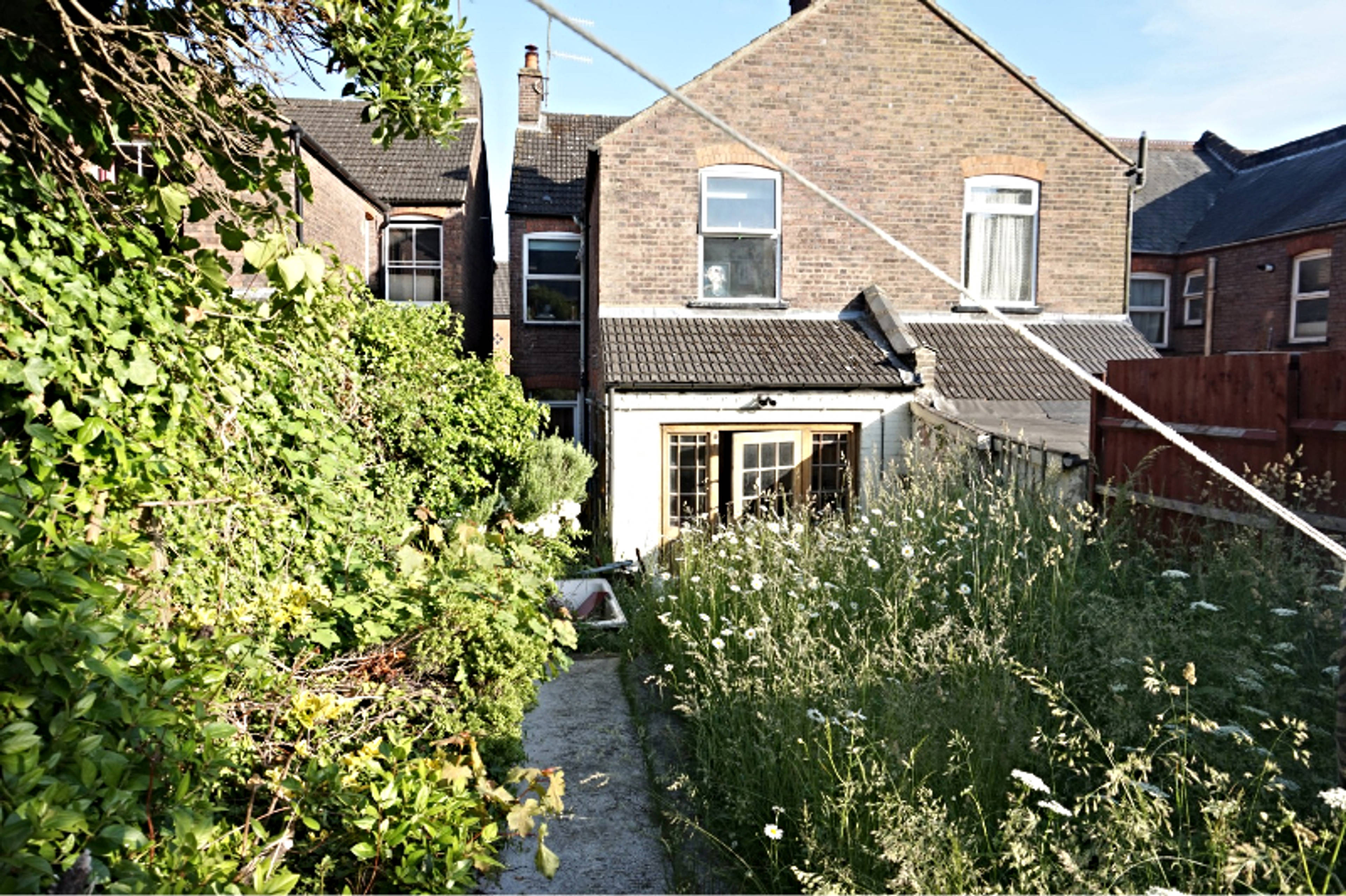 Rear View