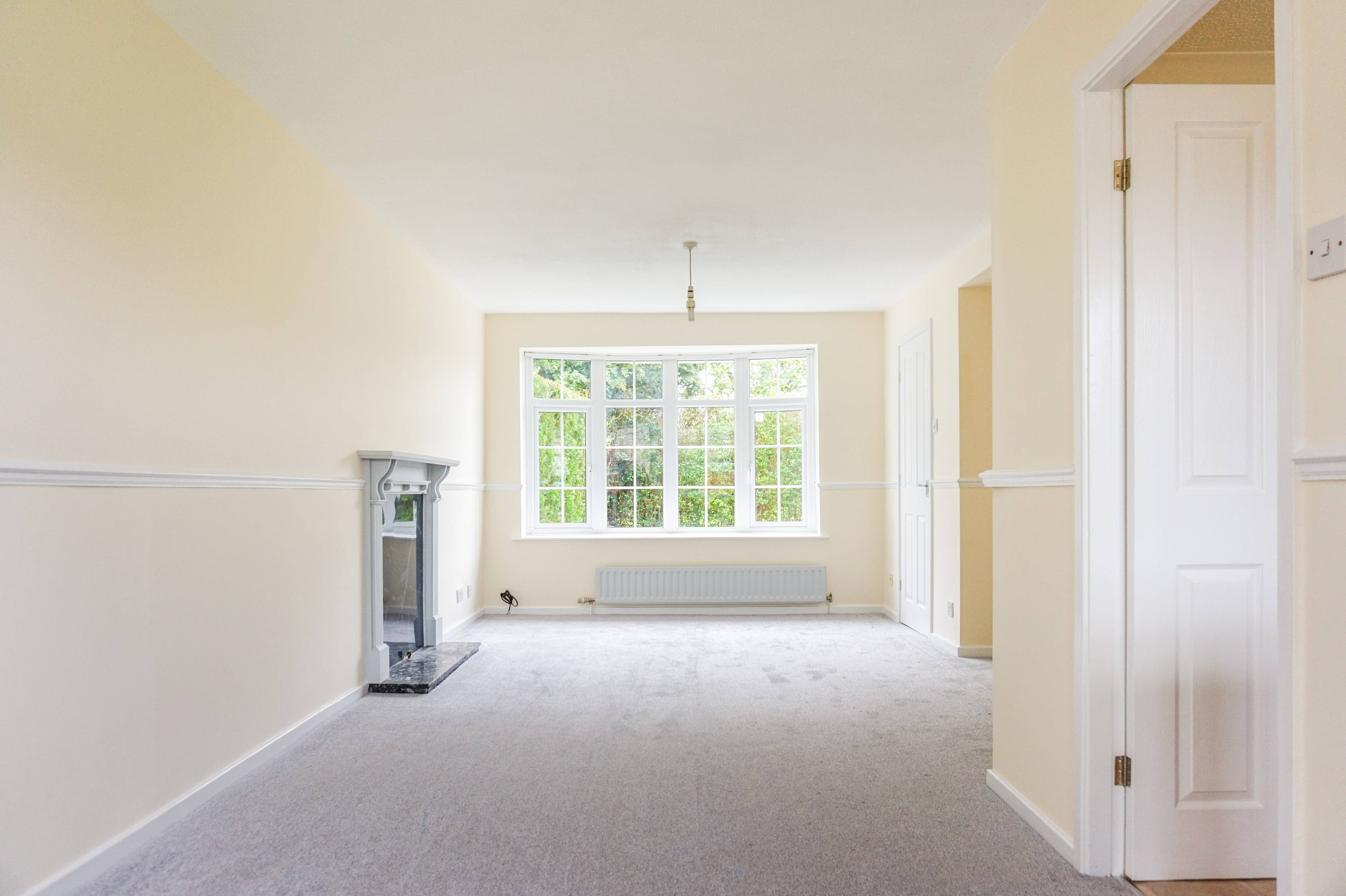 Living / Dining Room