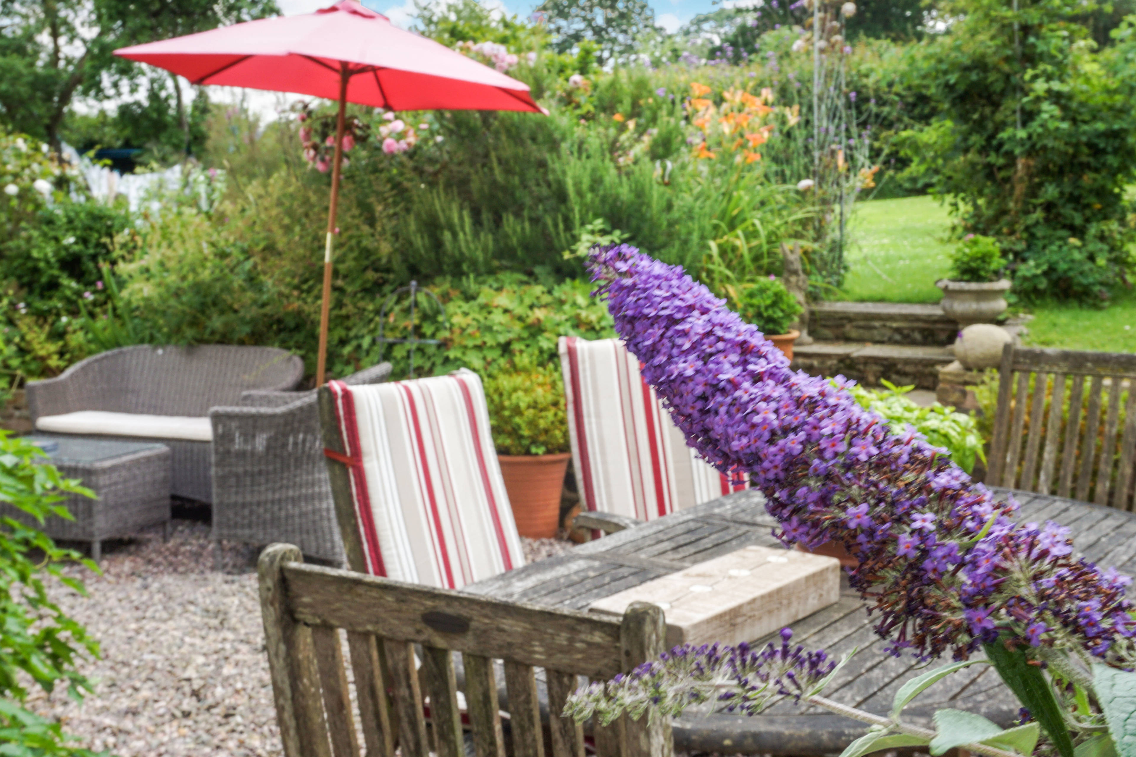 Sun Terrace