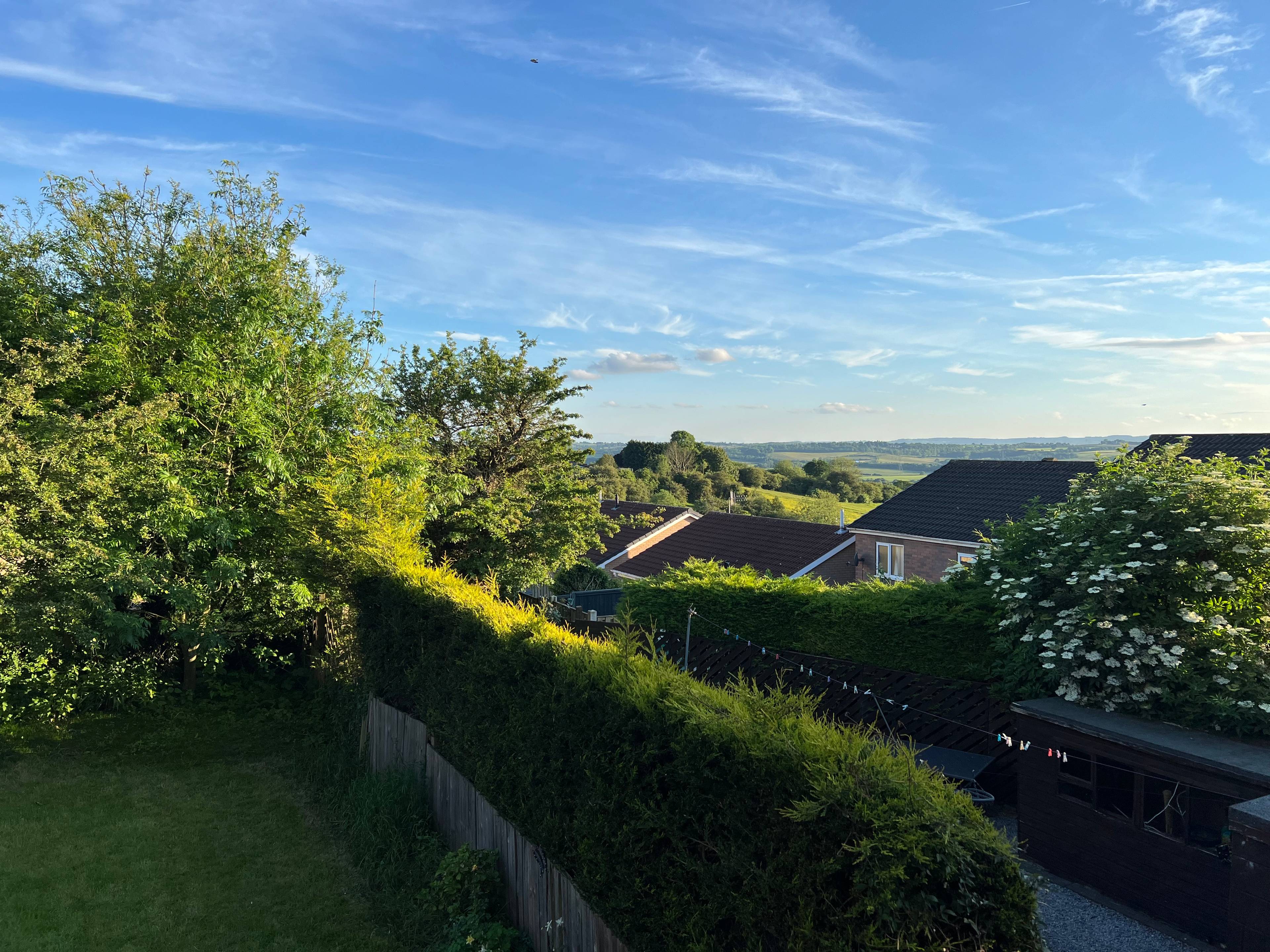 View