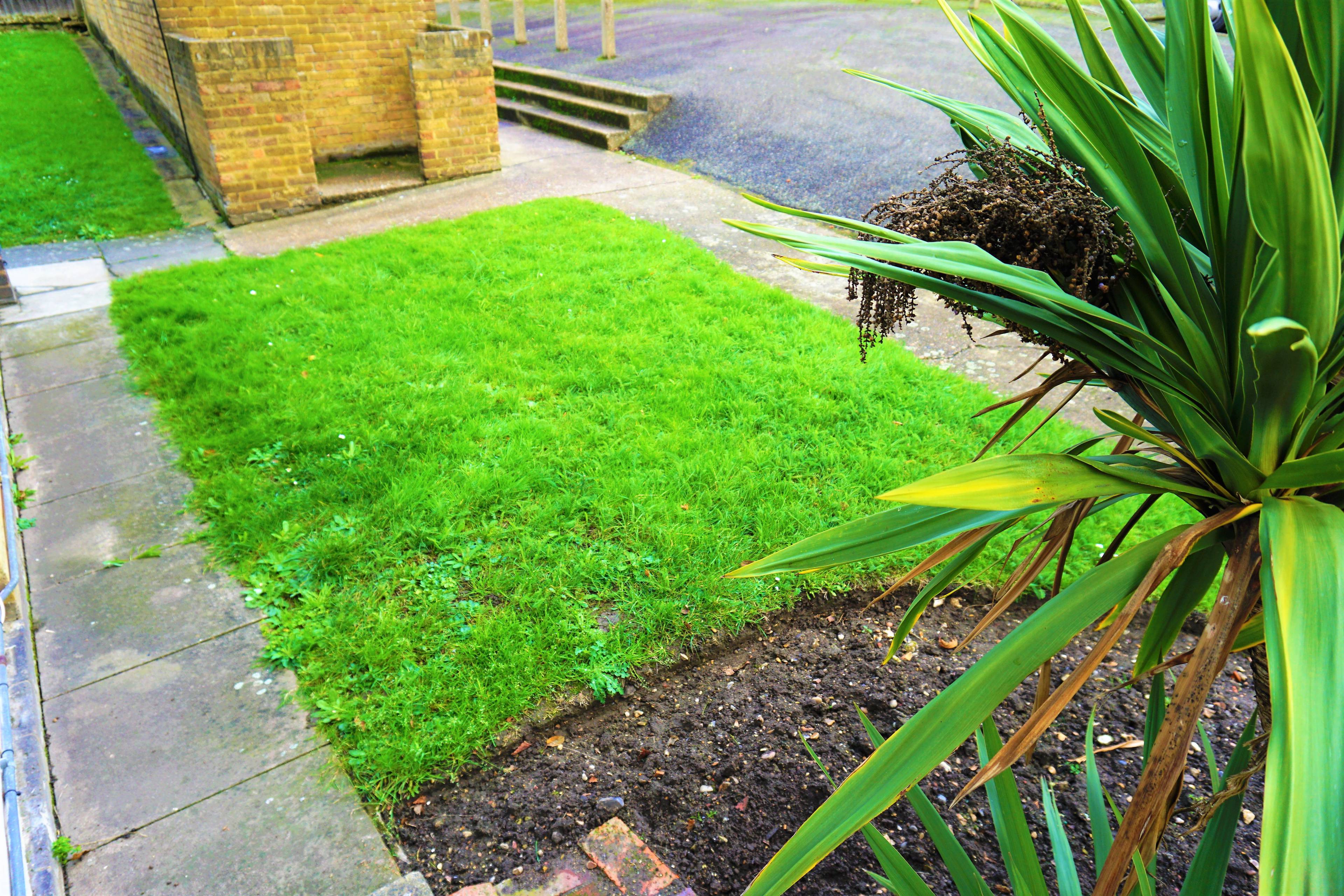 Communal Gardens