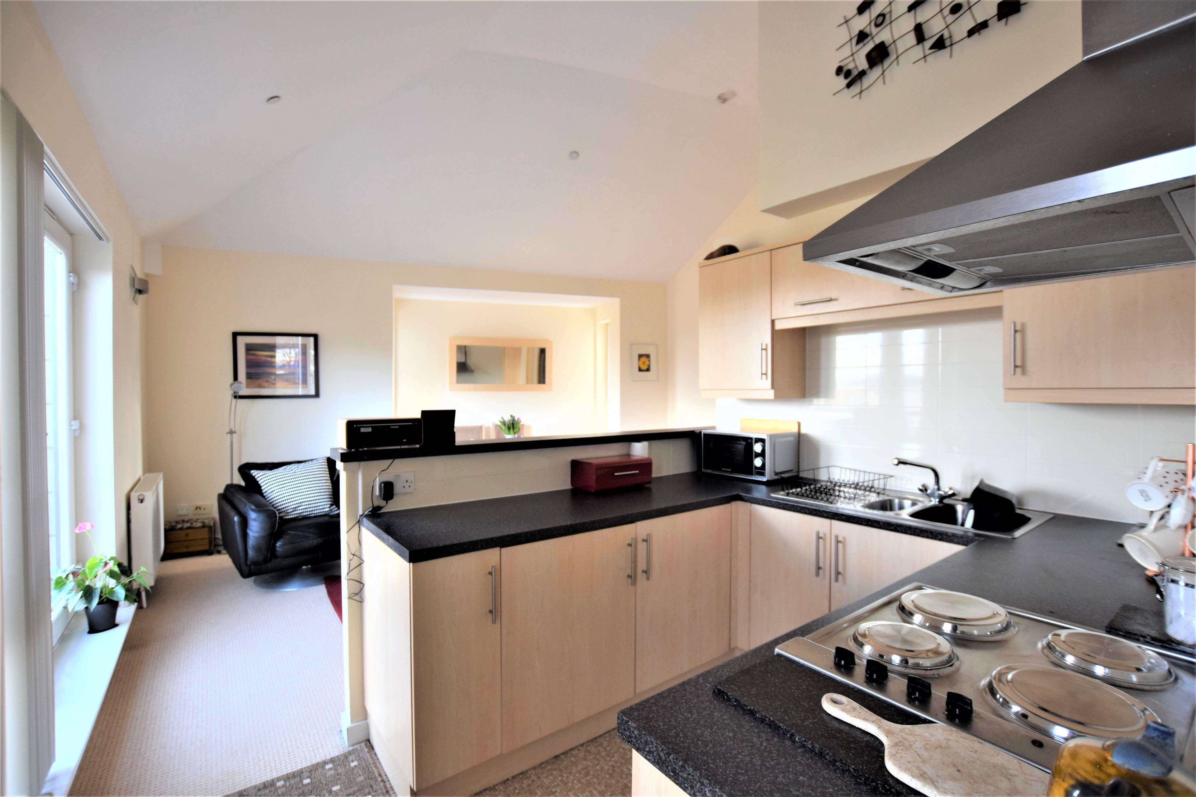 Lounge / Kitchen