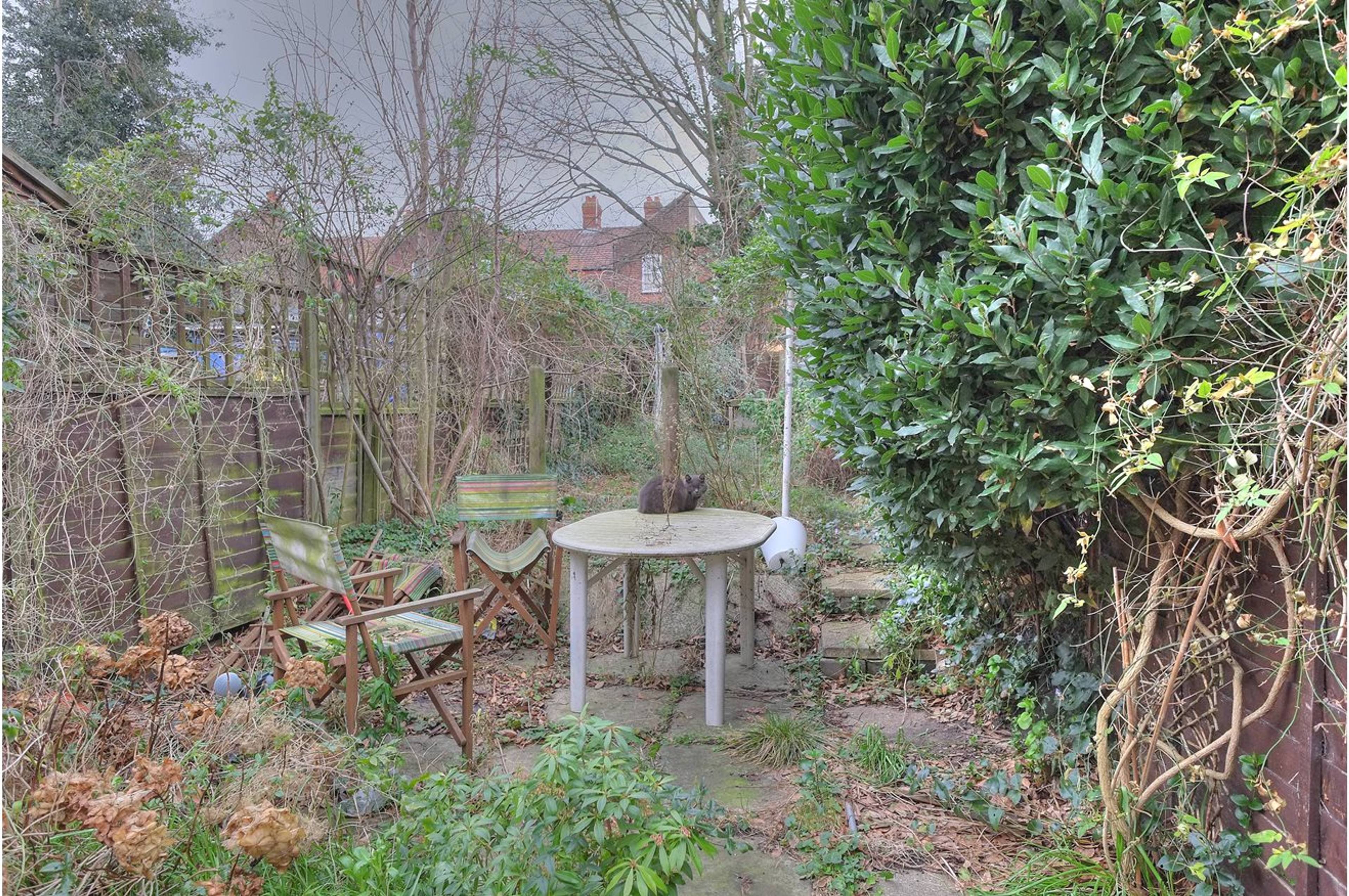 Garden