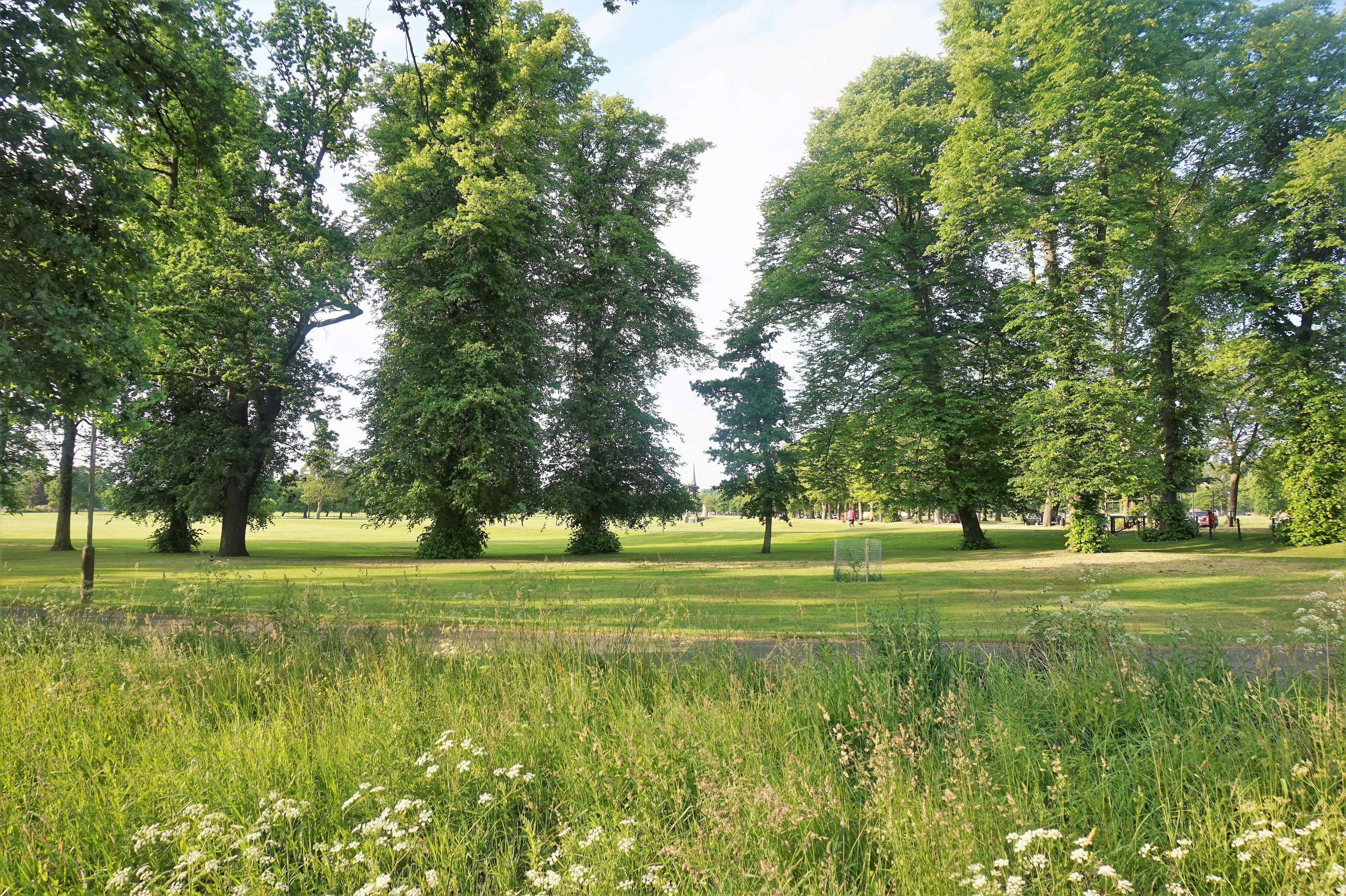 Nearby Park
