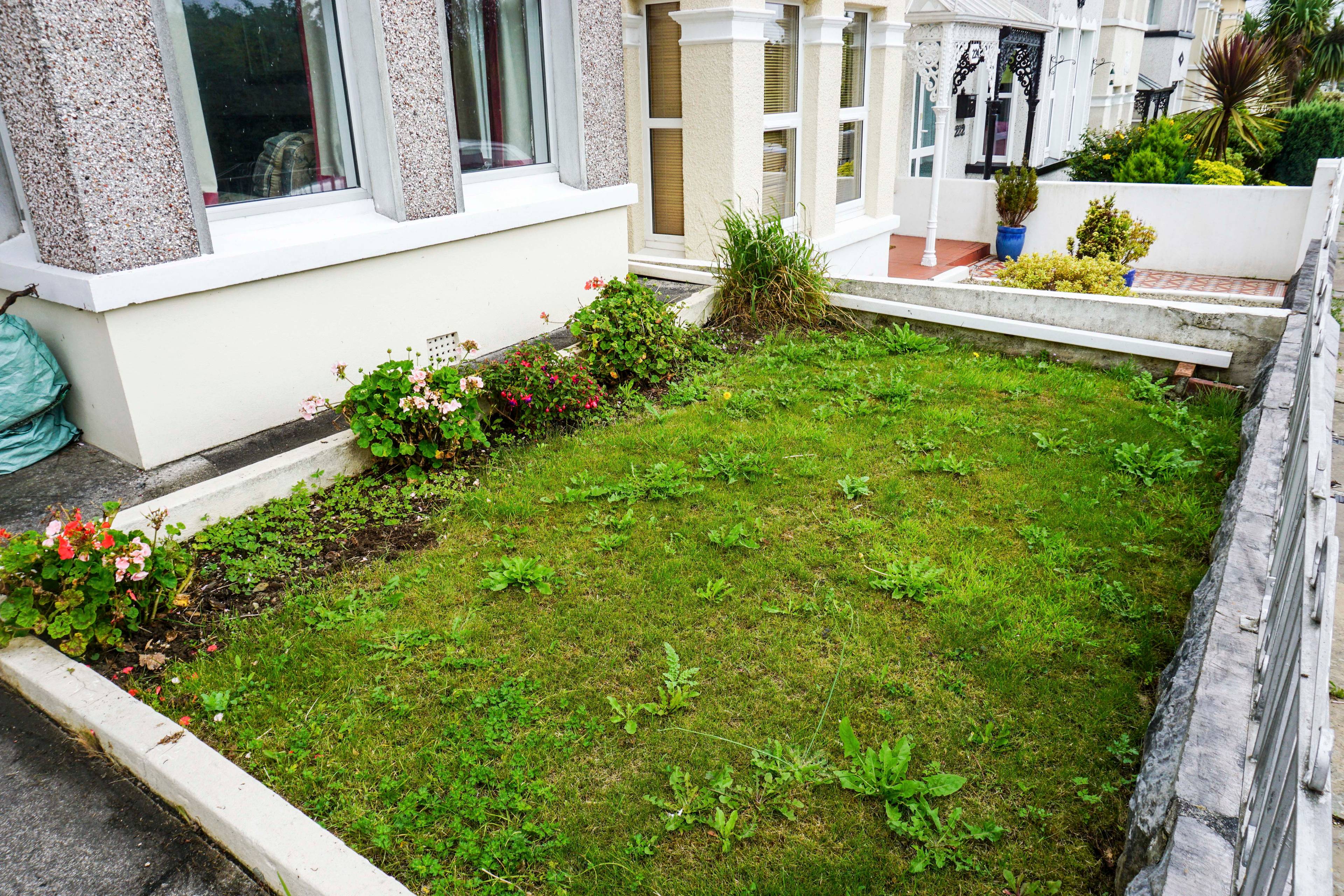 Front Garden