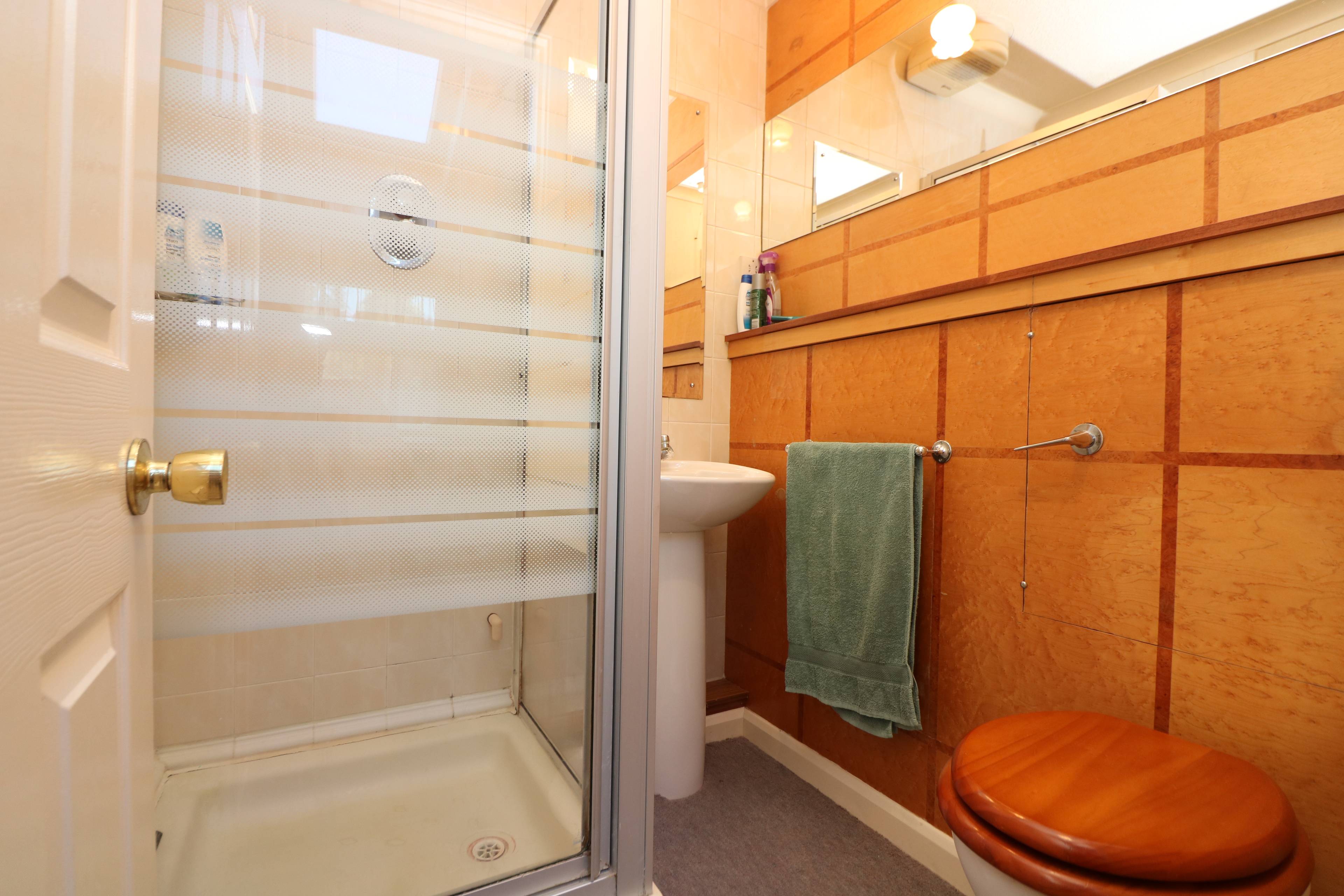 Downstairs Shower