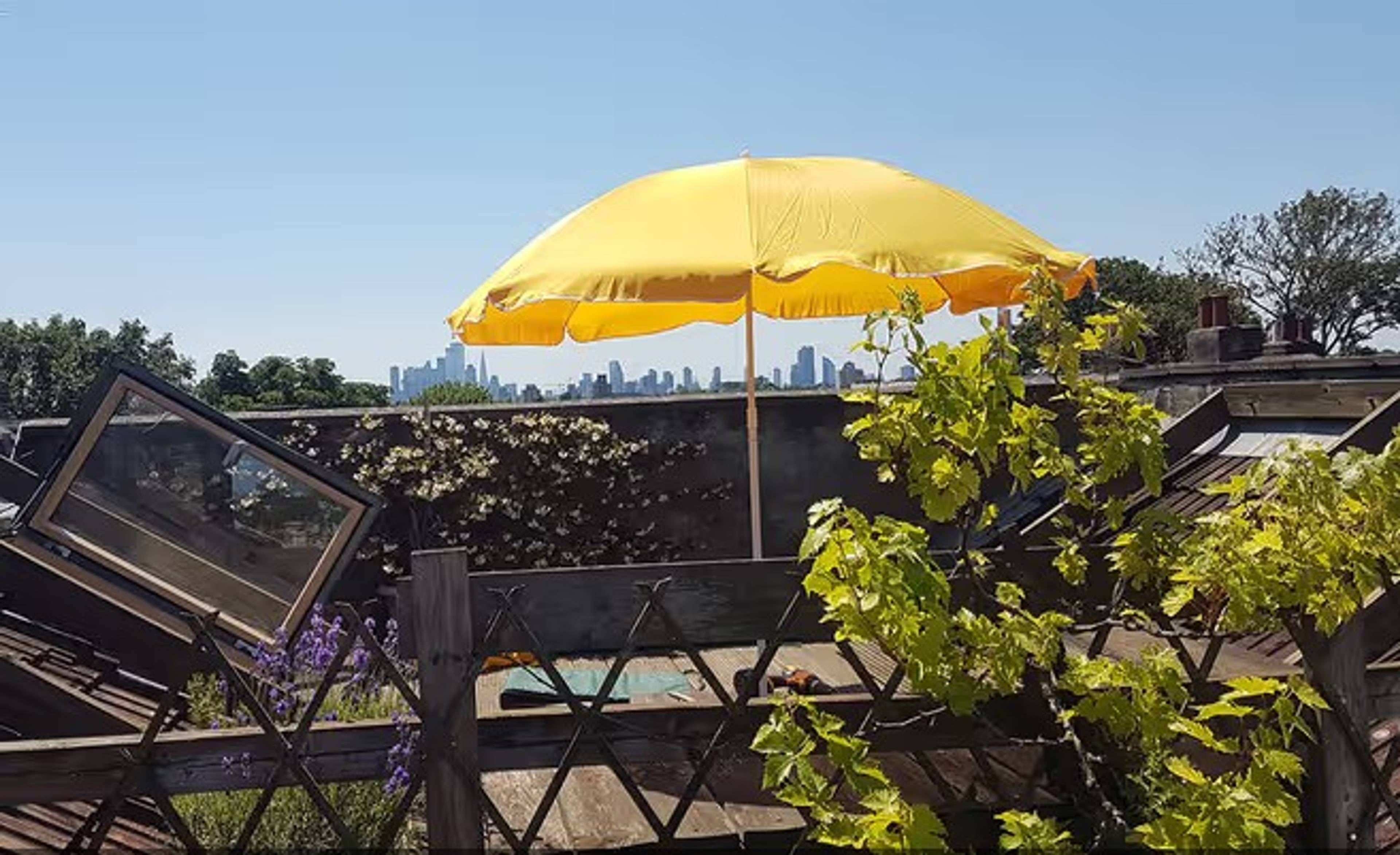 Roof Terrace