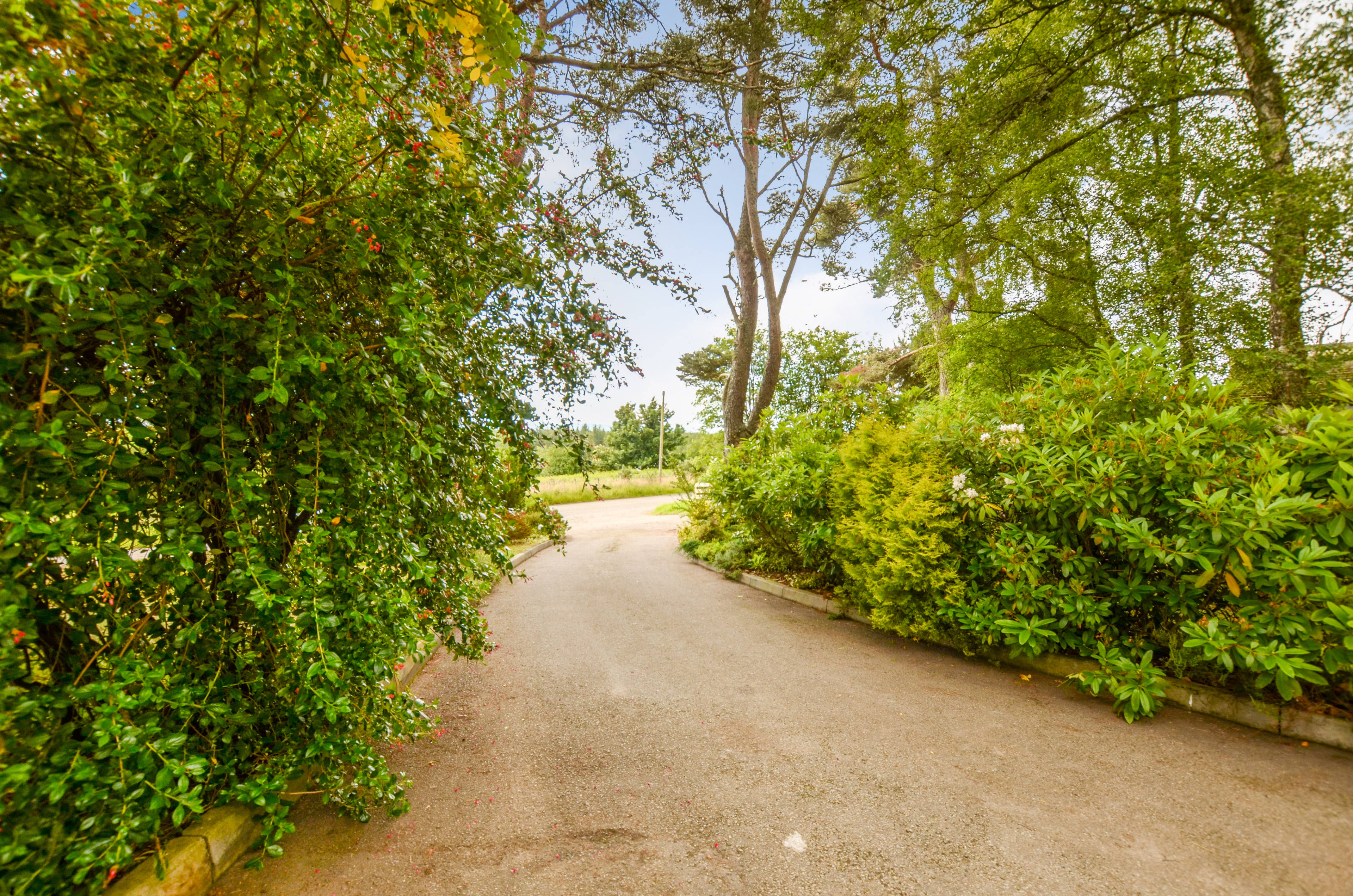 Driveway