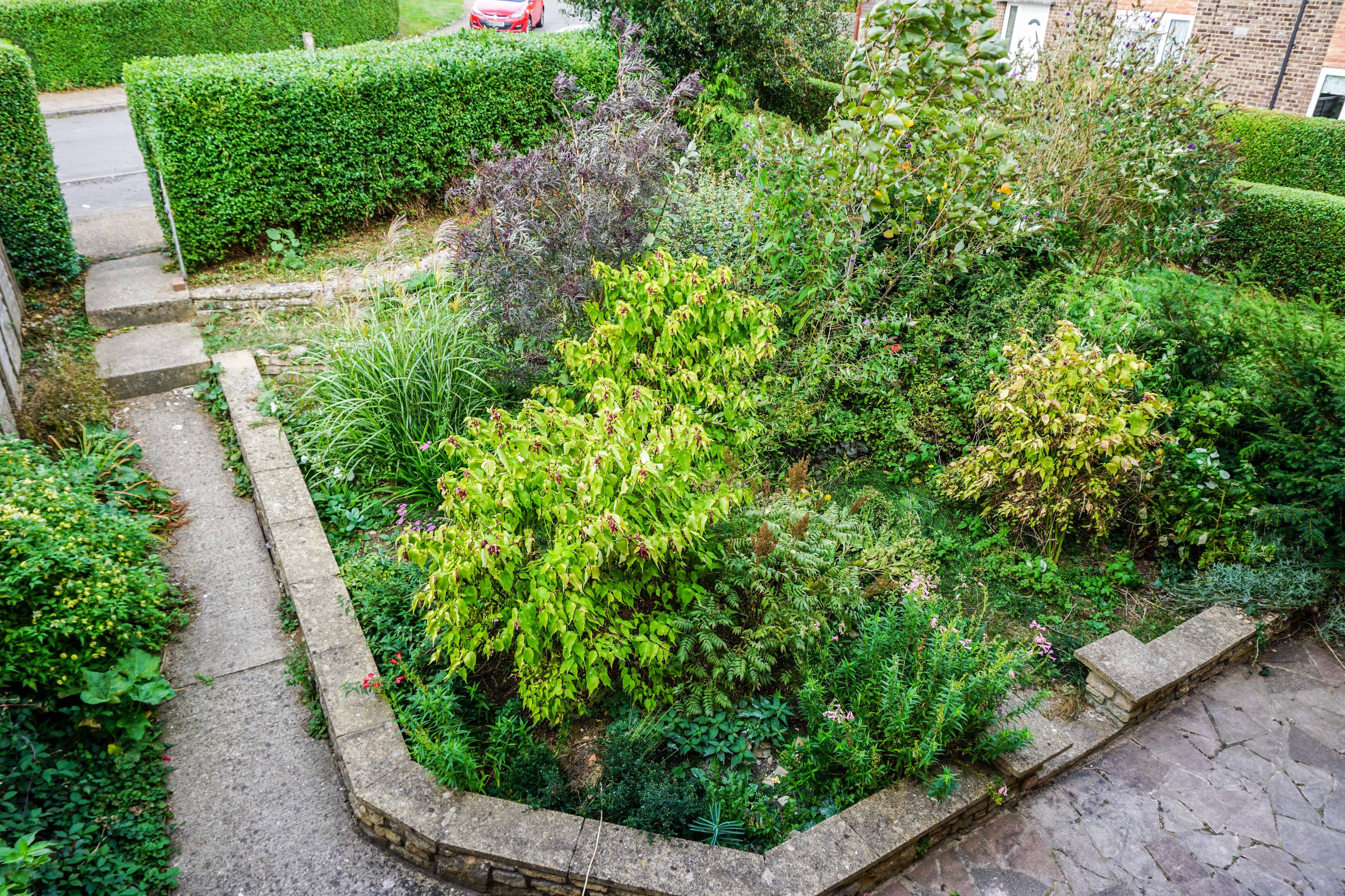Front Garden