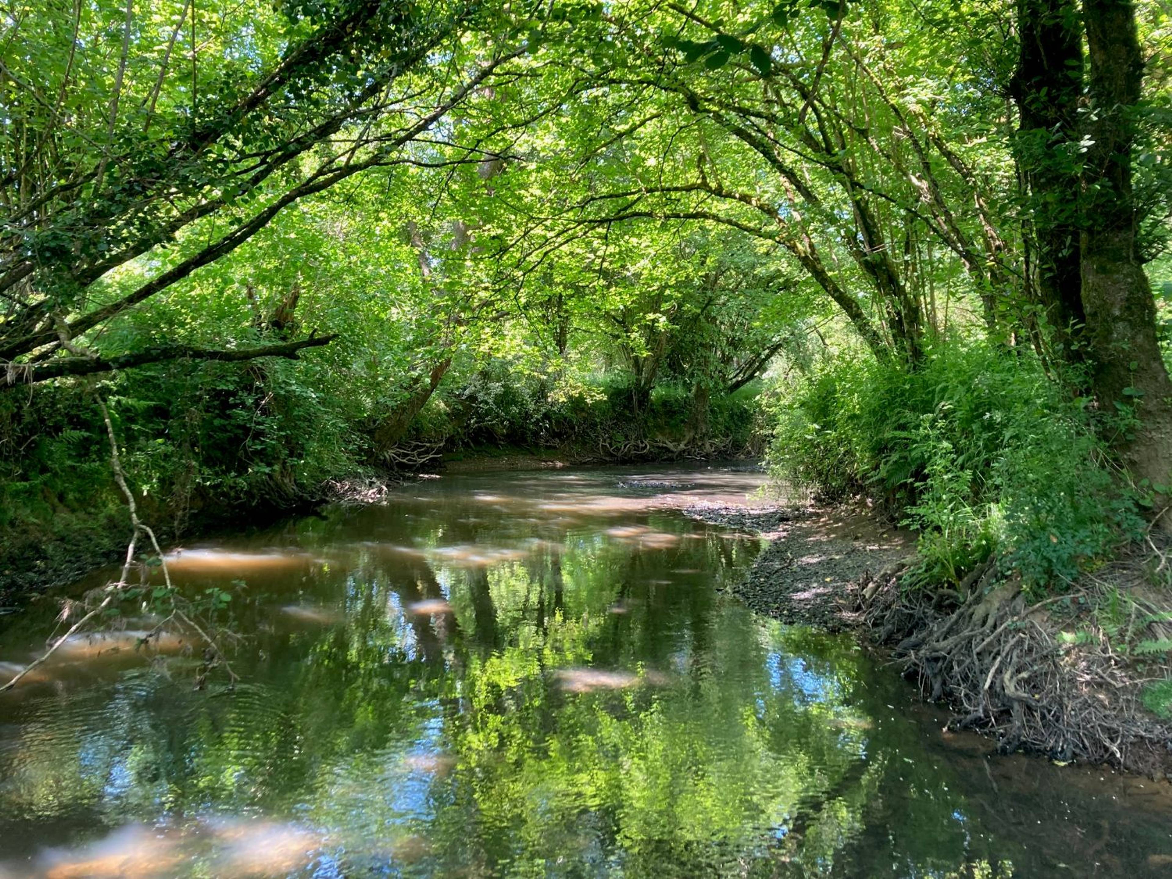 Nearby River
