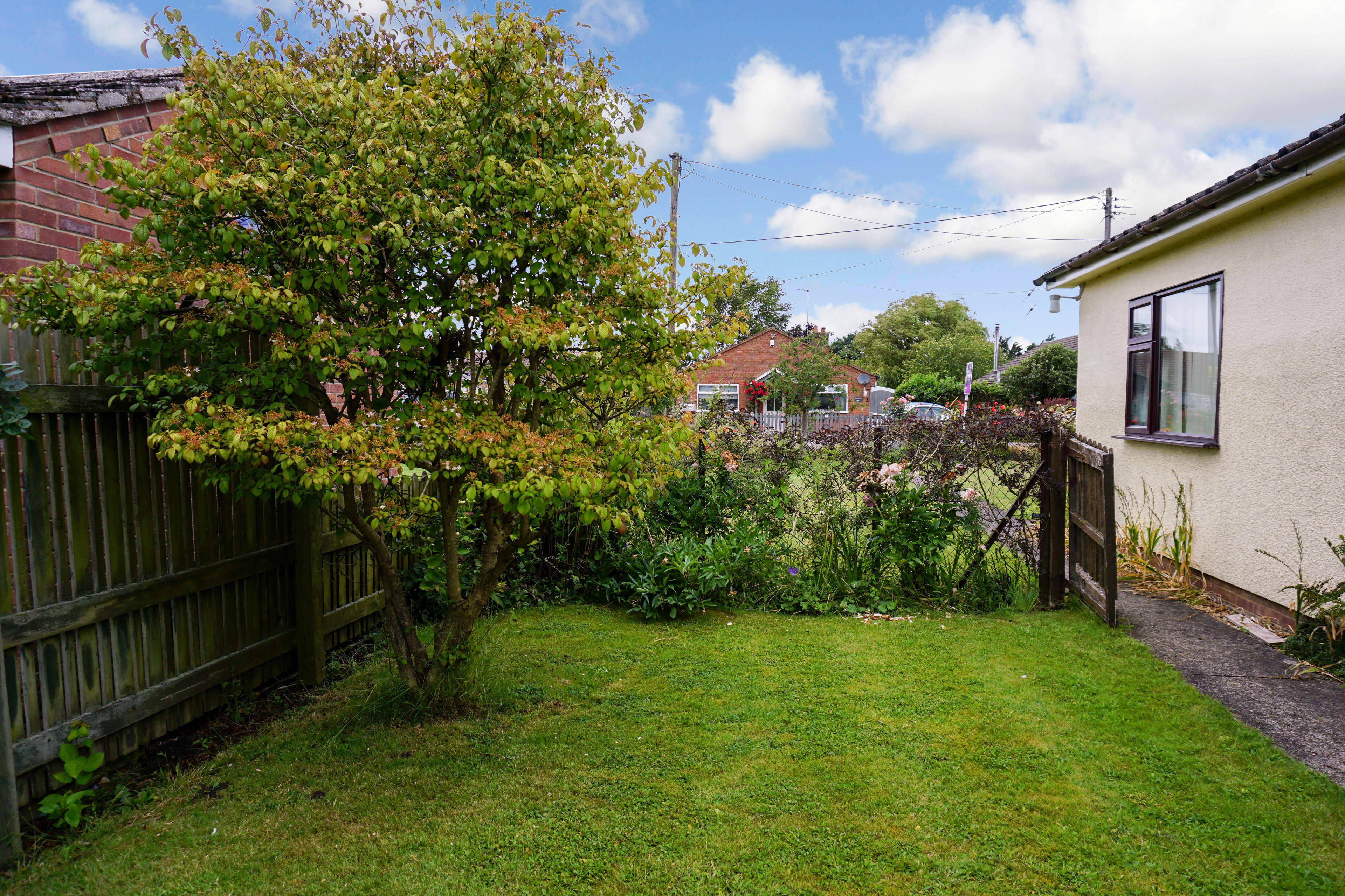 Side Garden