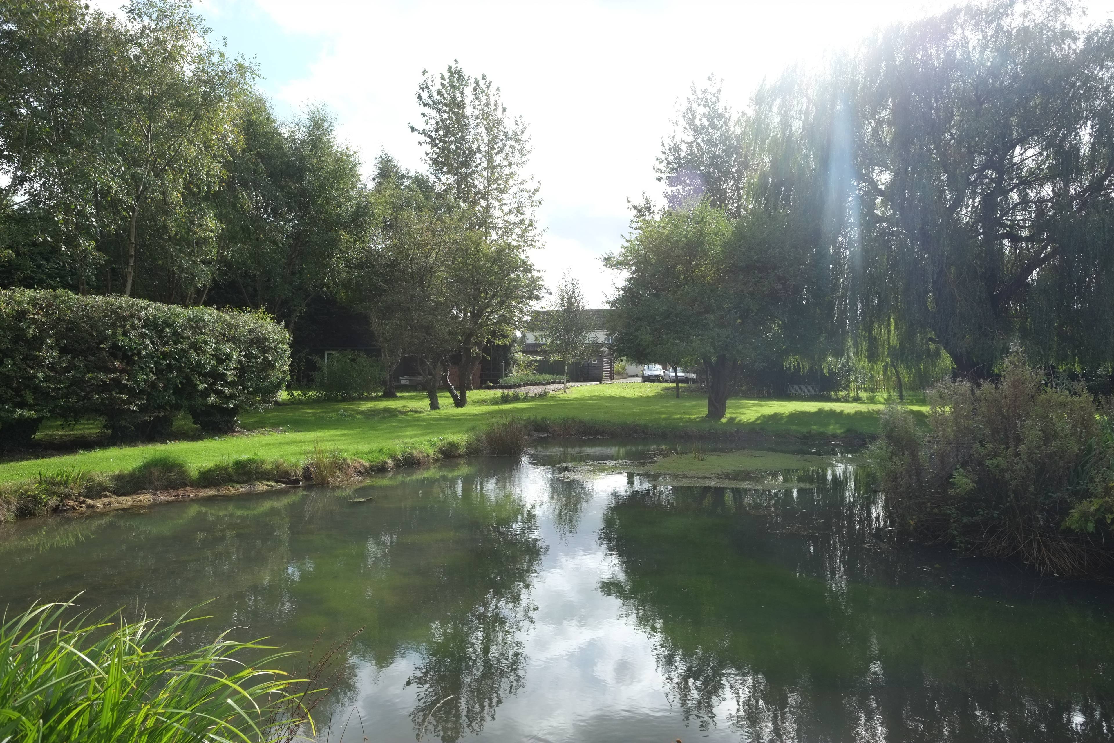 Pond