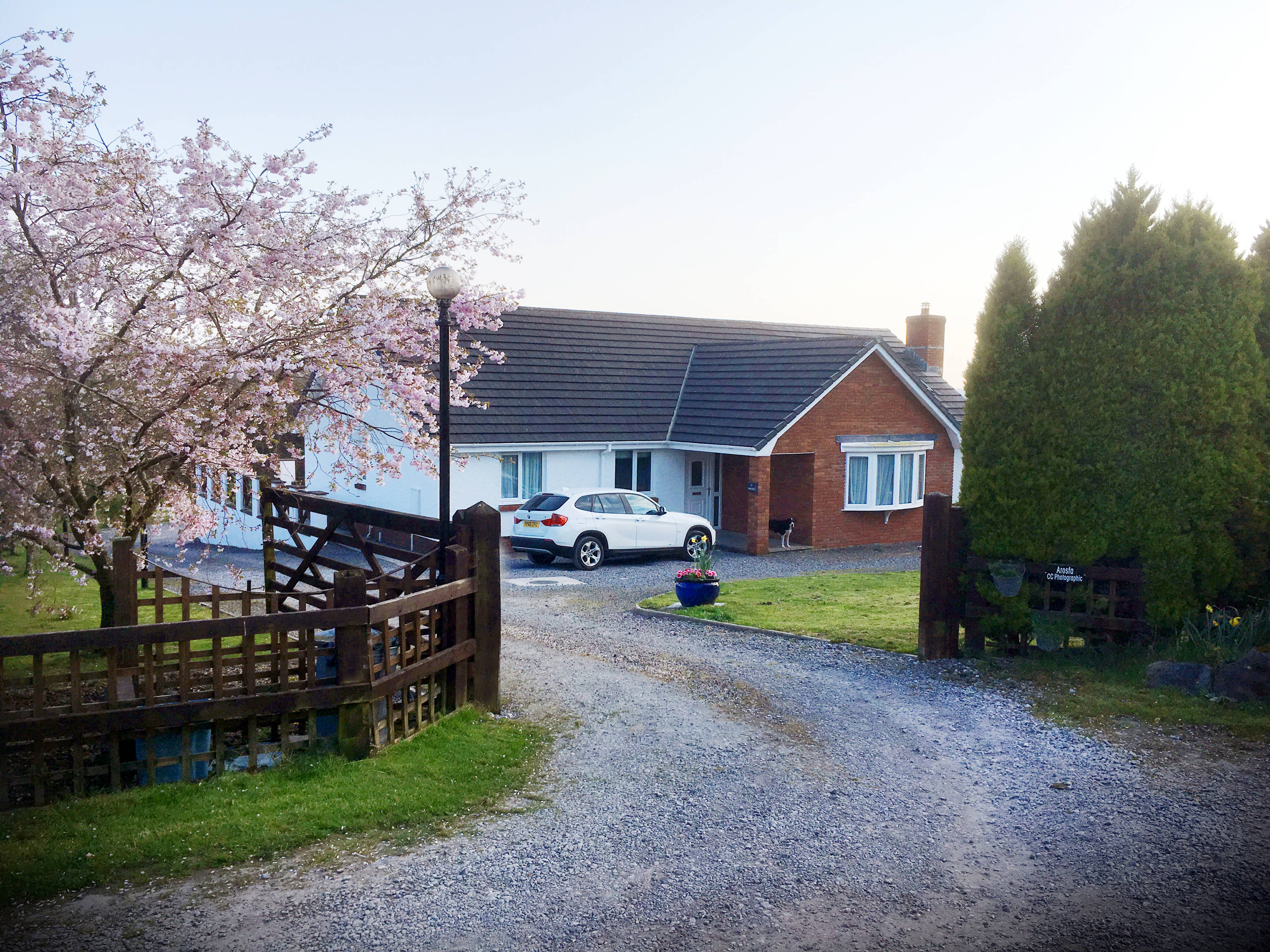 View Of The Property
