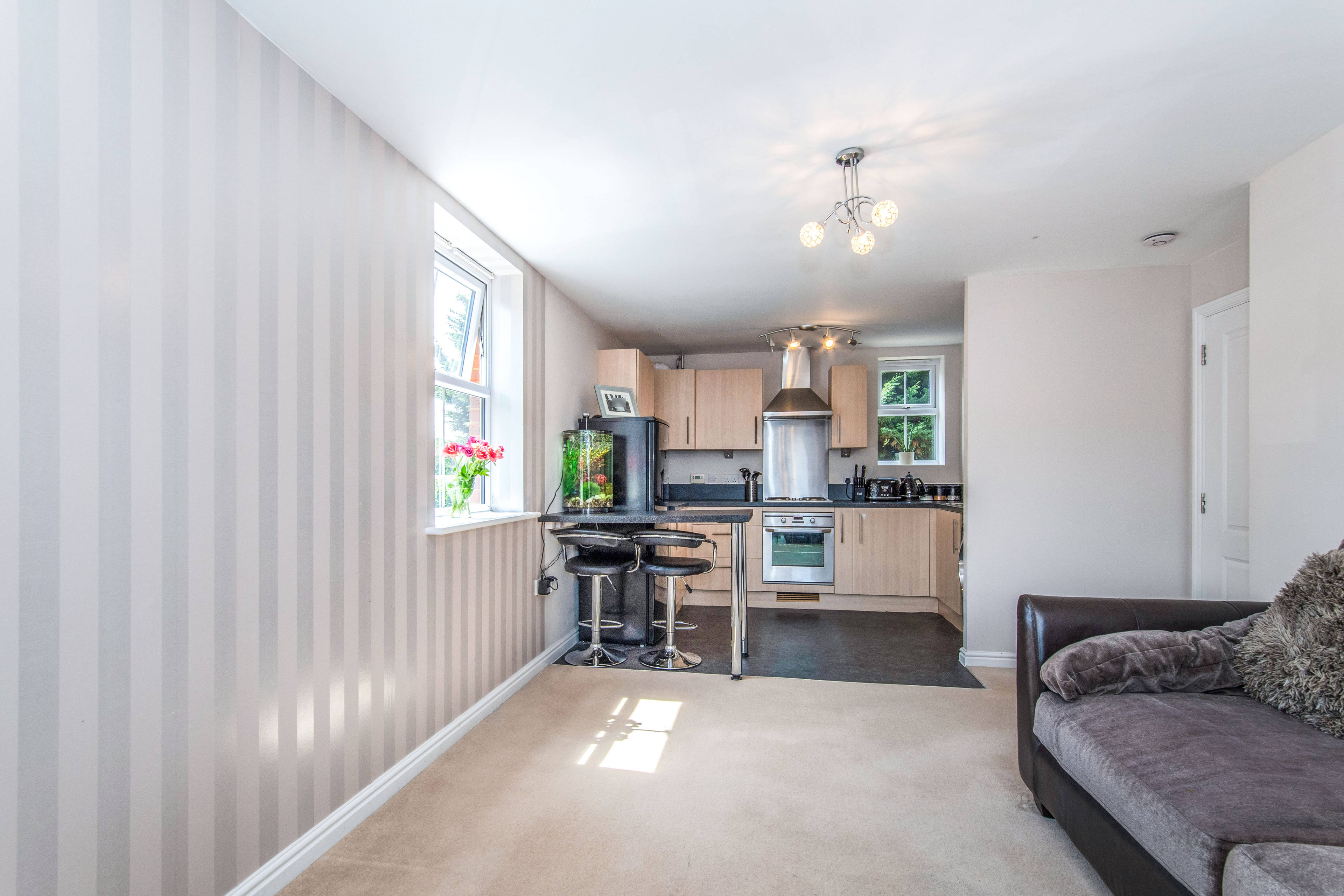 Lounge / Kitchen