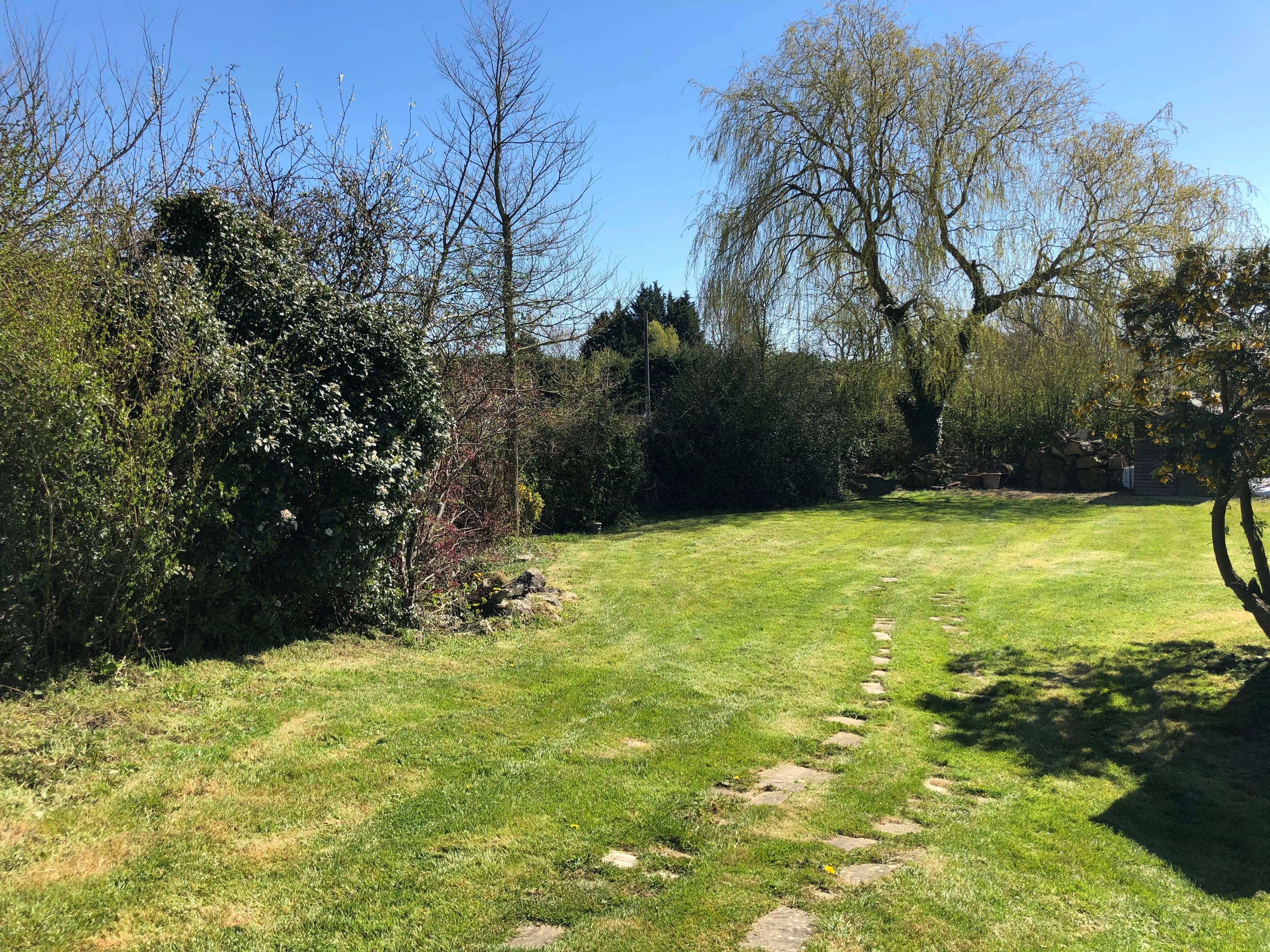 Side Garden